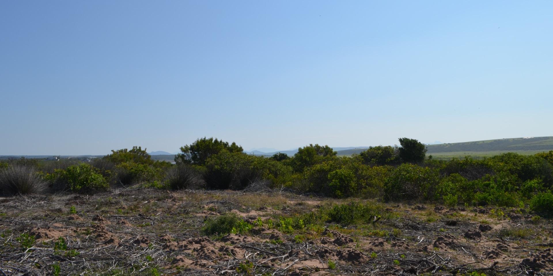 Image 5 of 6