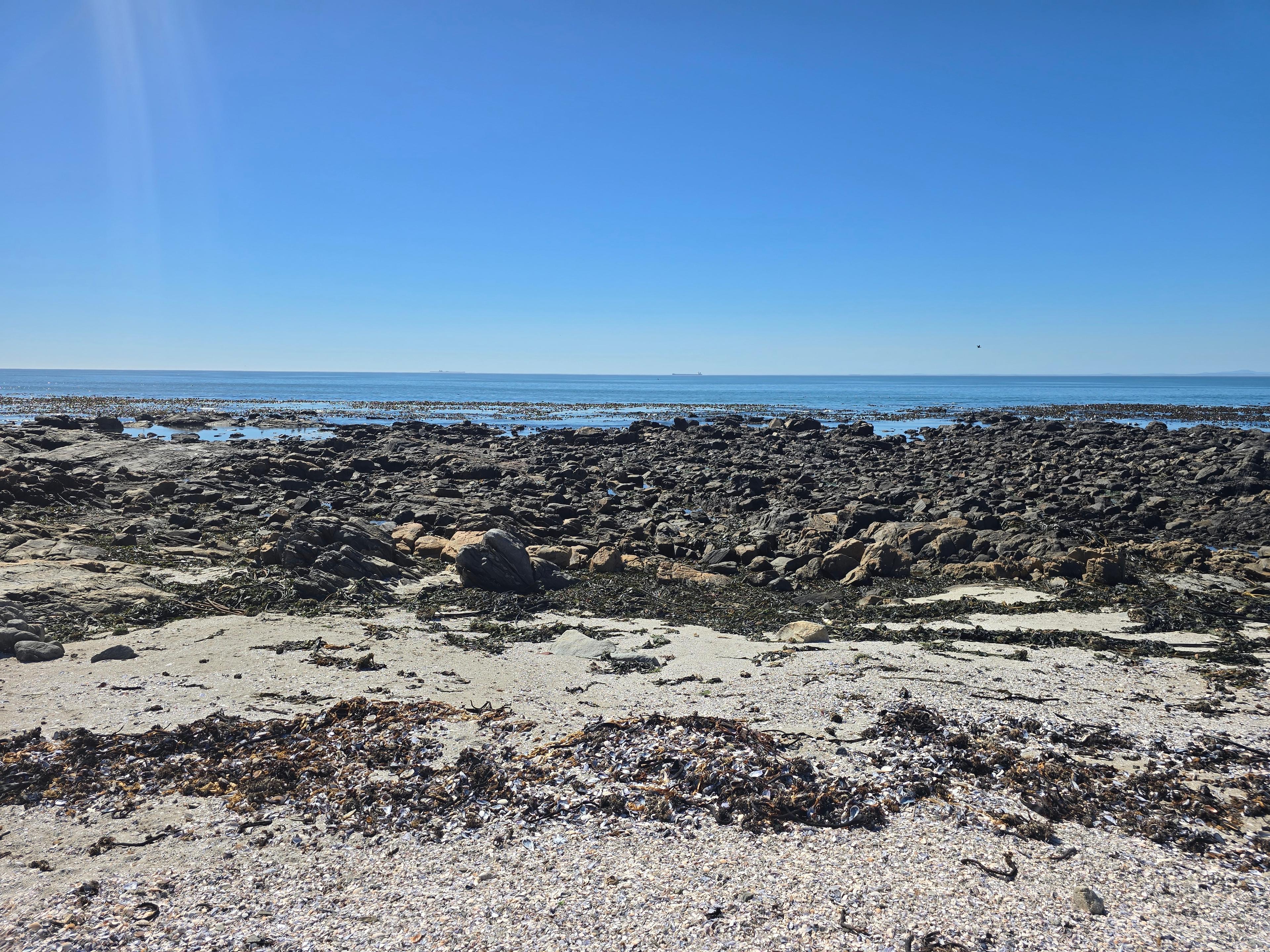 Image 39