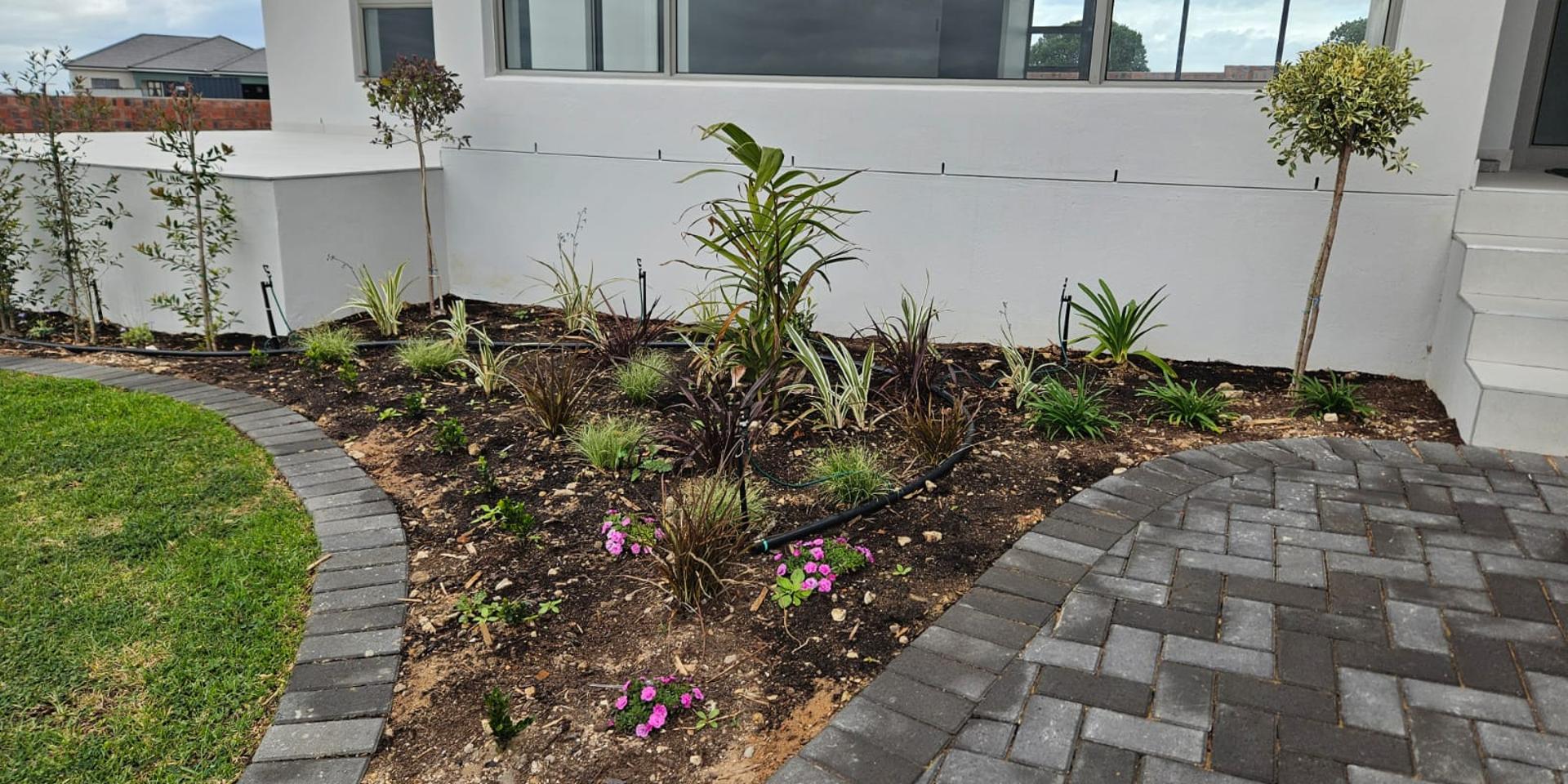 Image 2 of 6