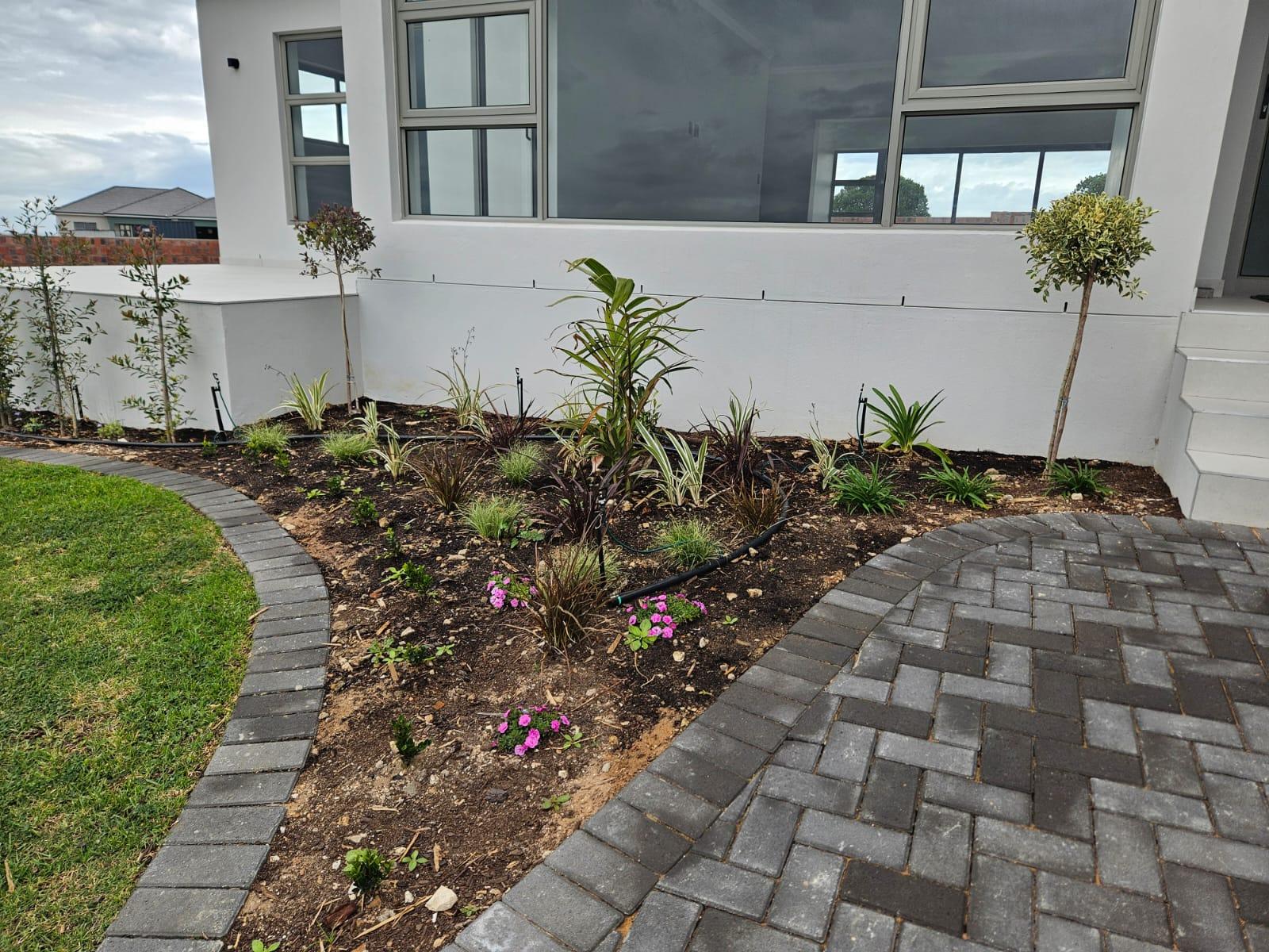 Image 2 of 6
