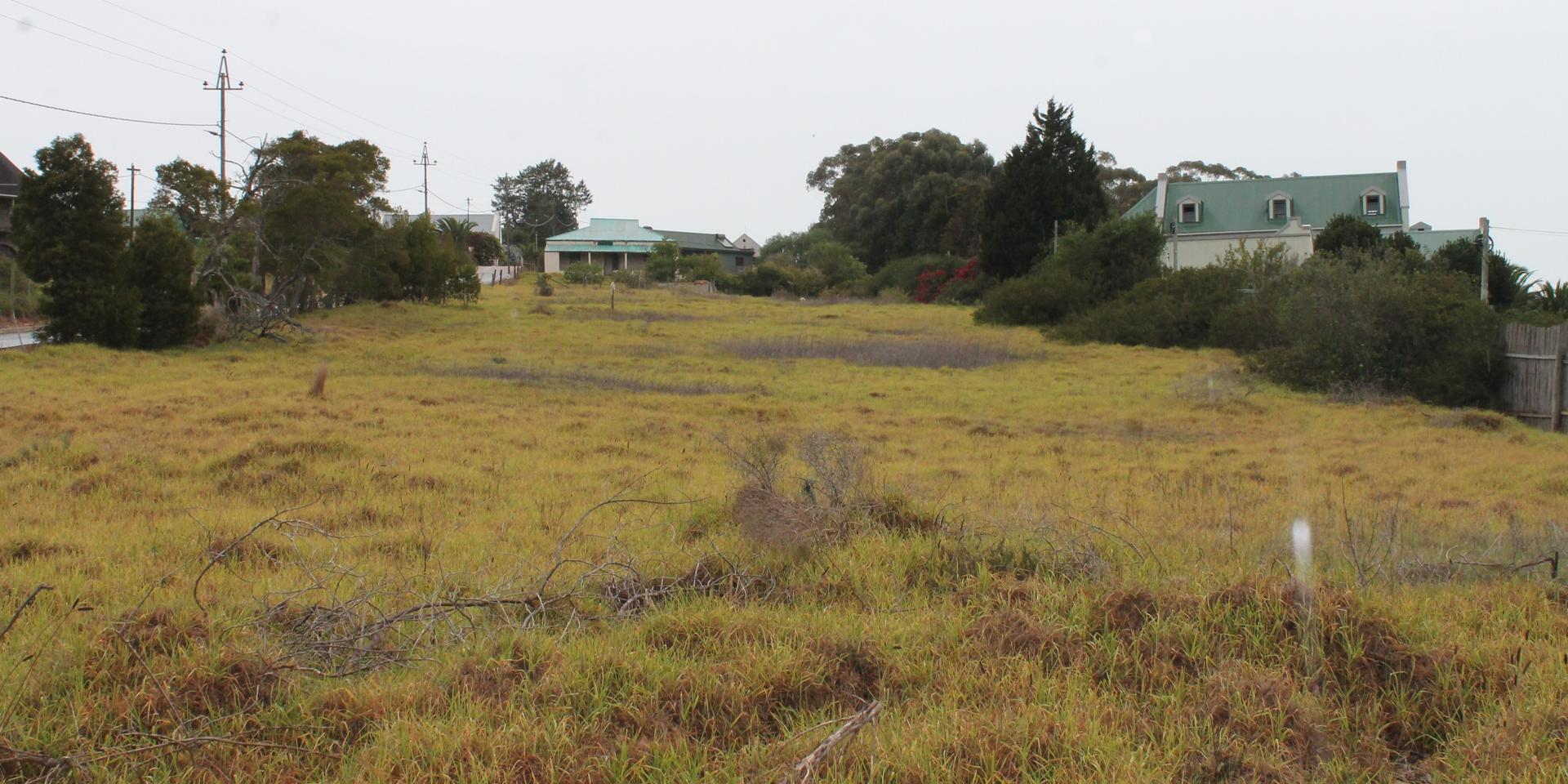 Image 5 of 6