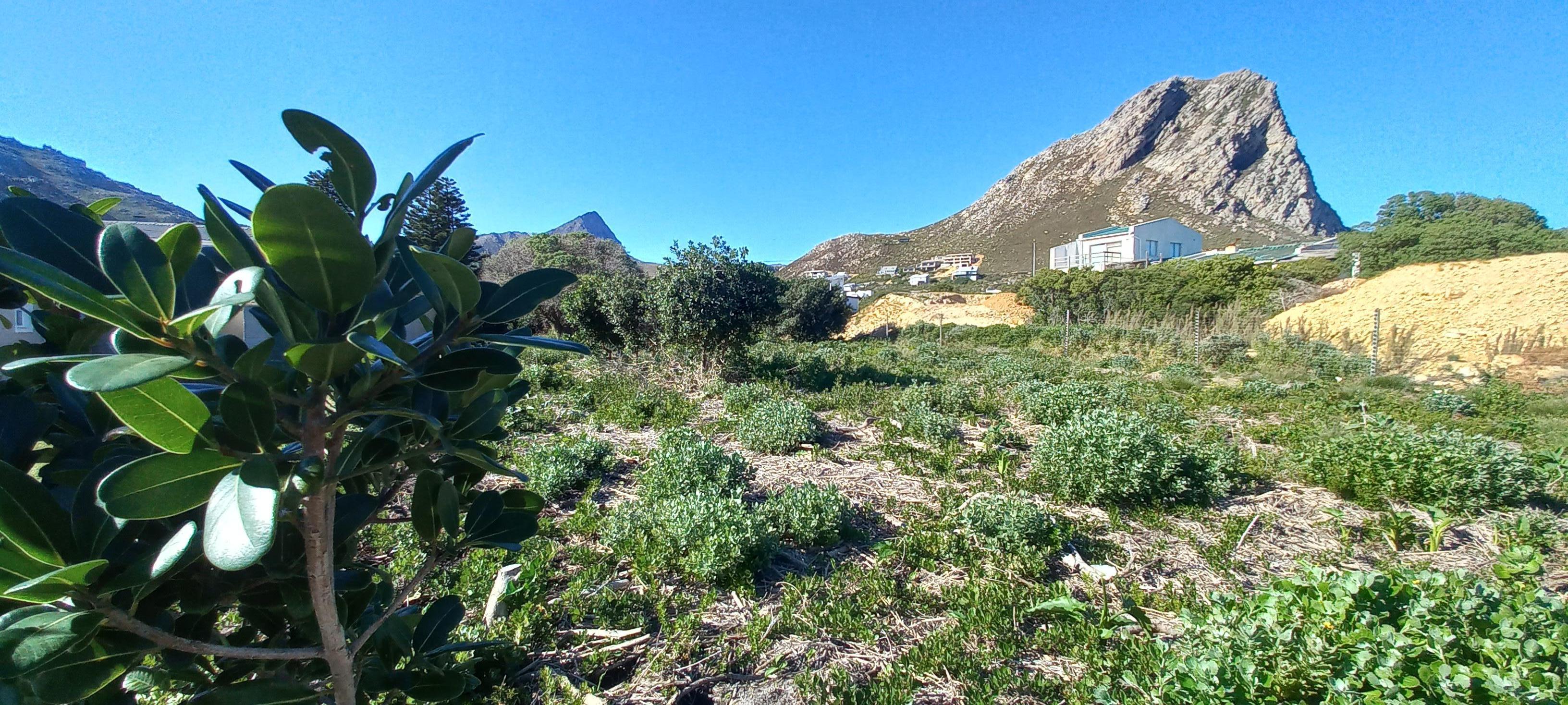 Image 14