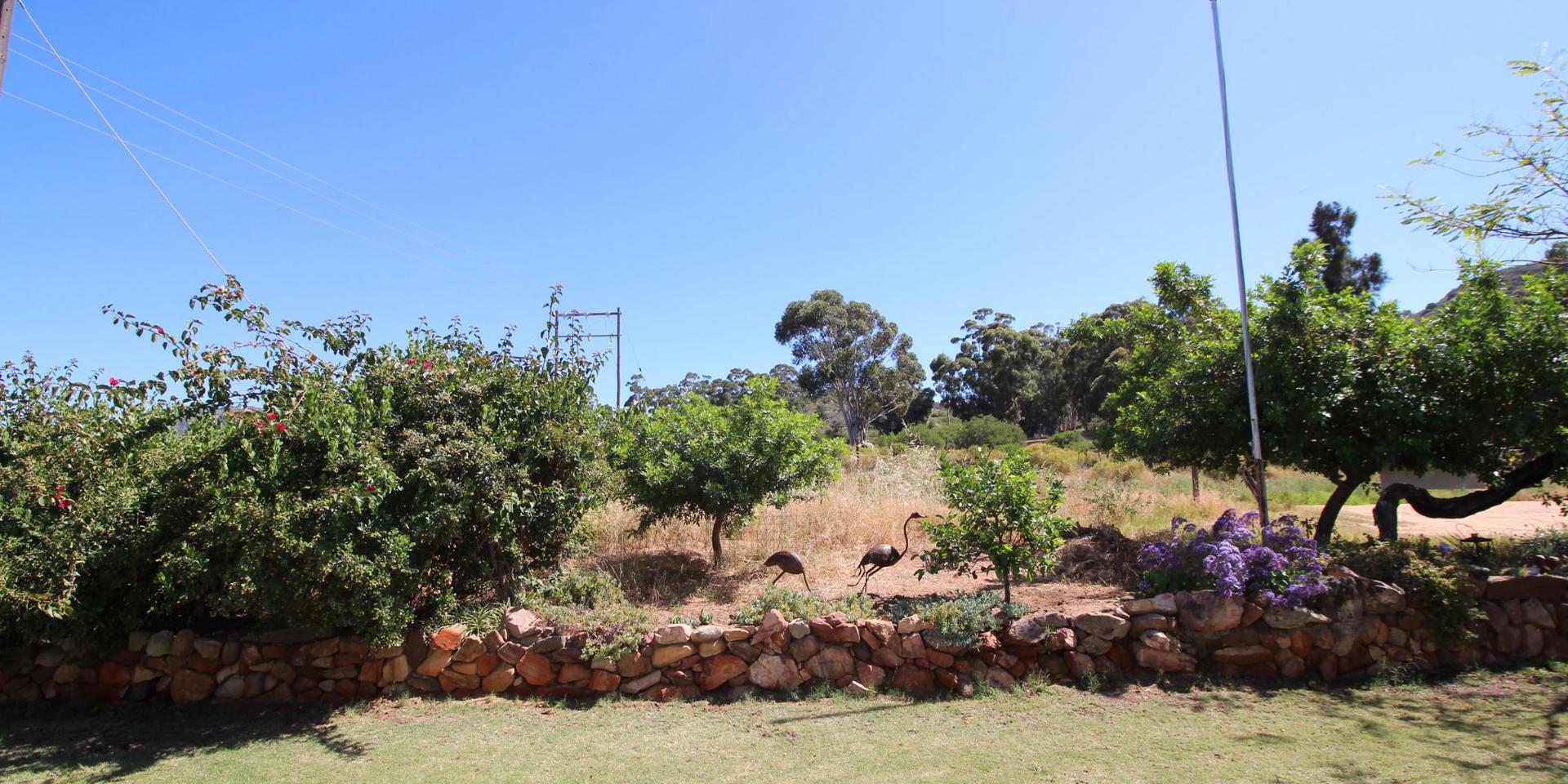 Image 5 of 6
