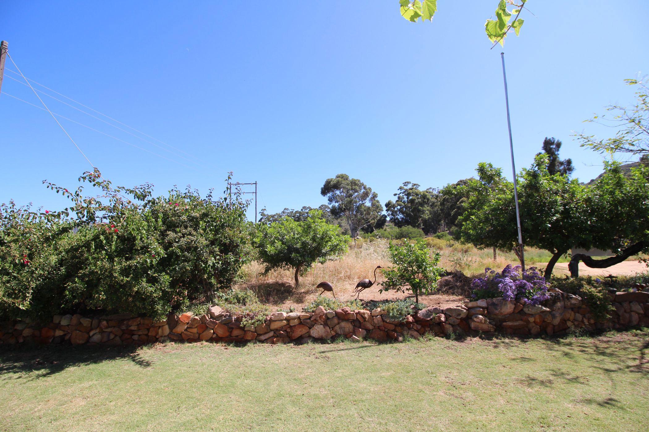Image 5 of 6