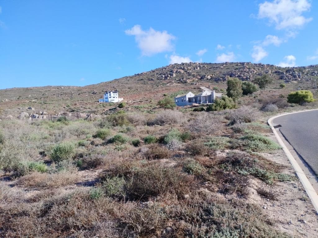 Image 5 of 6