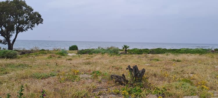 Main property image
