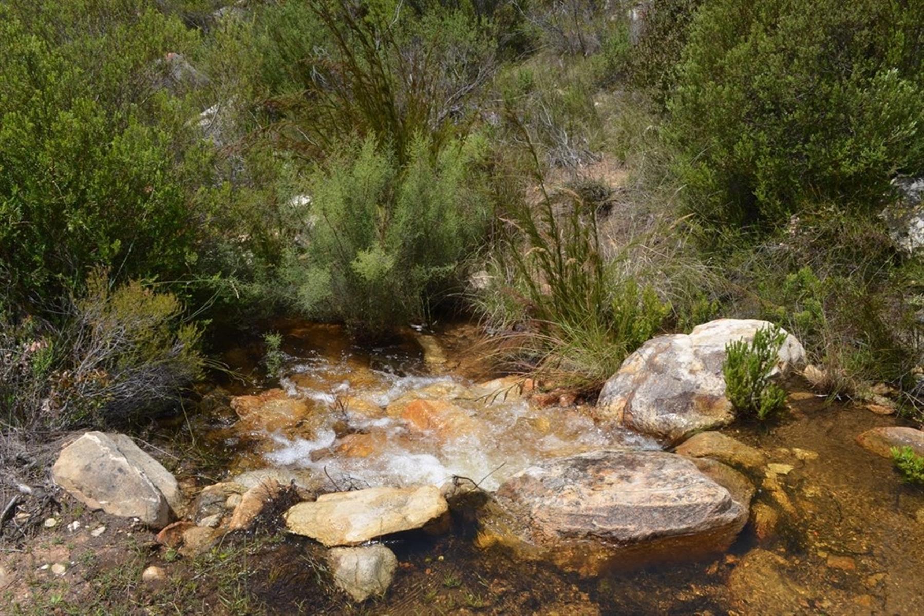 Image 46