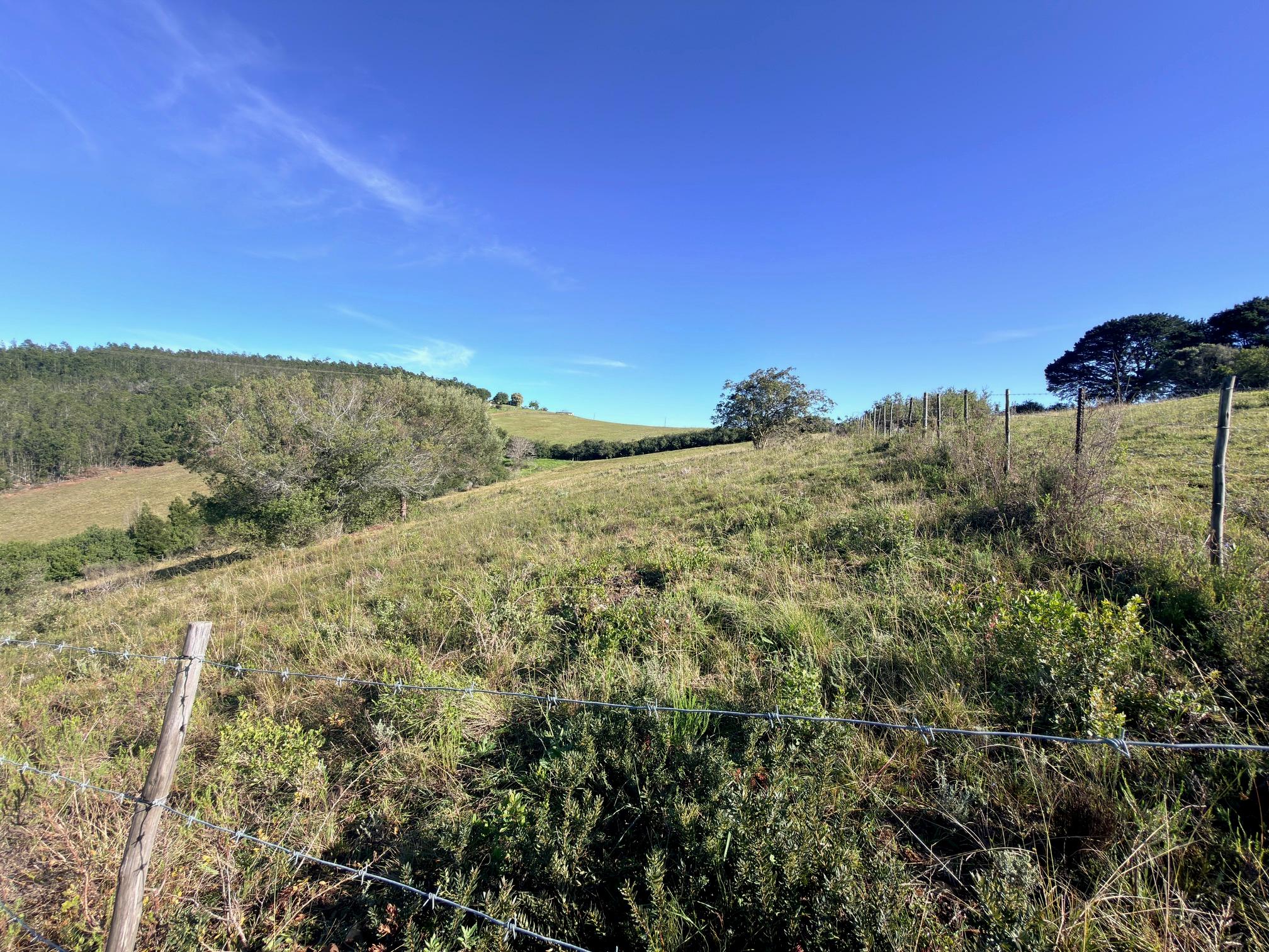 Image 38