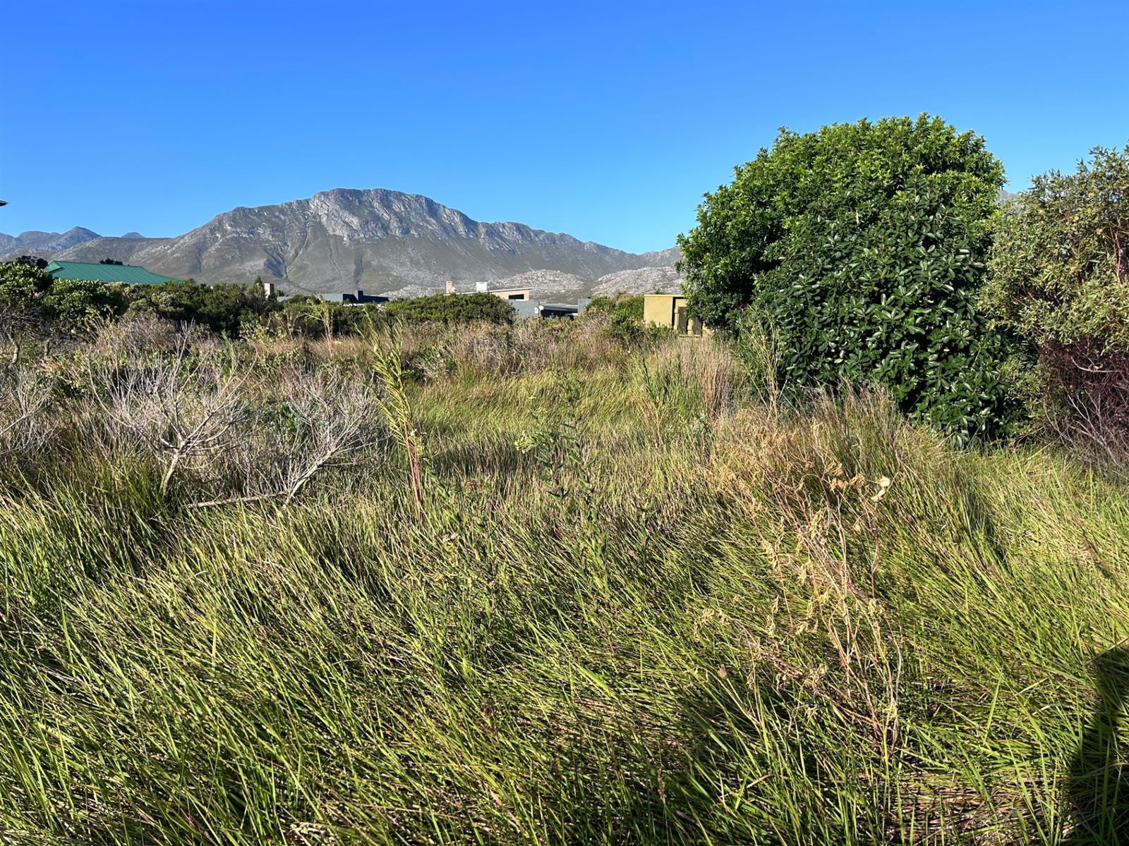 Image 4 of 6