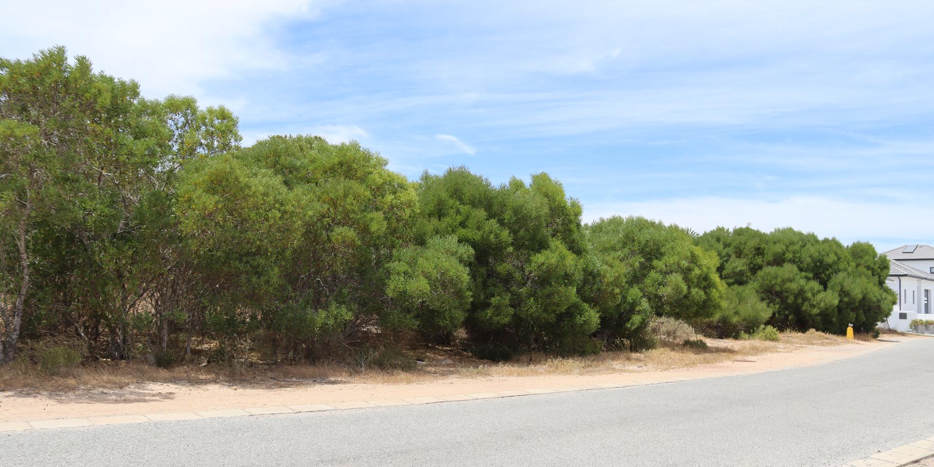 Image 4 of 6