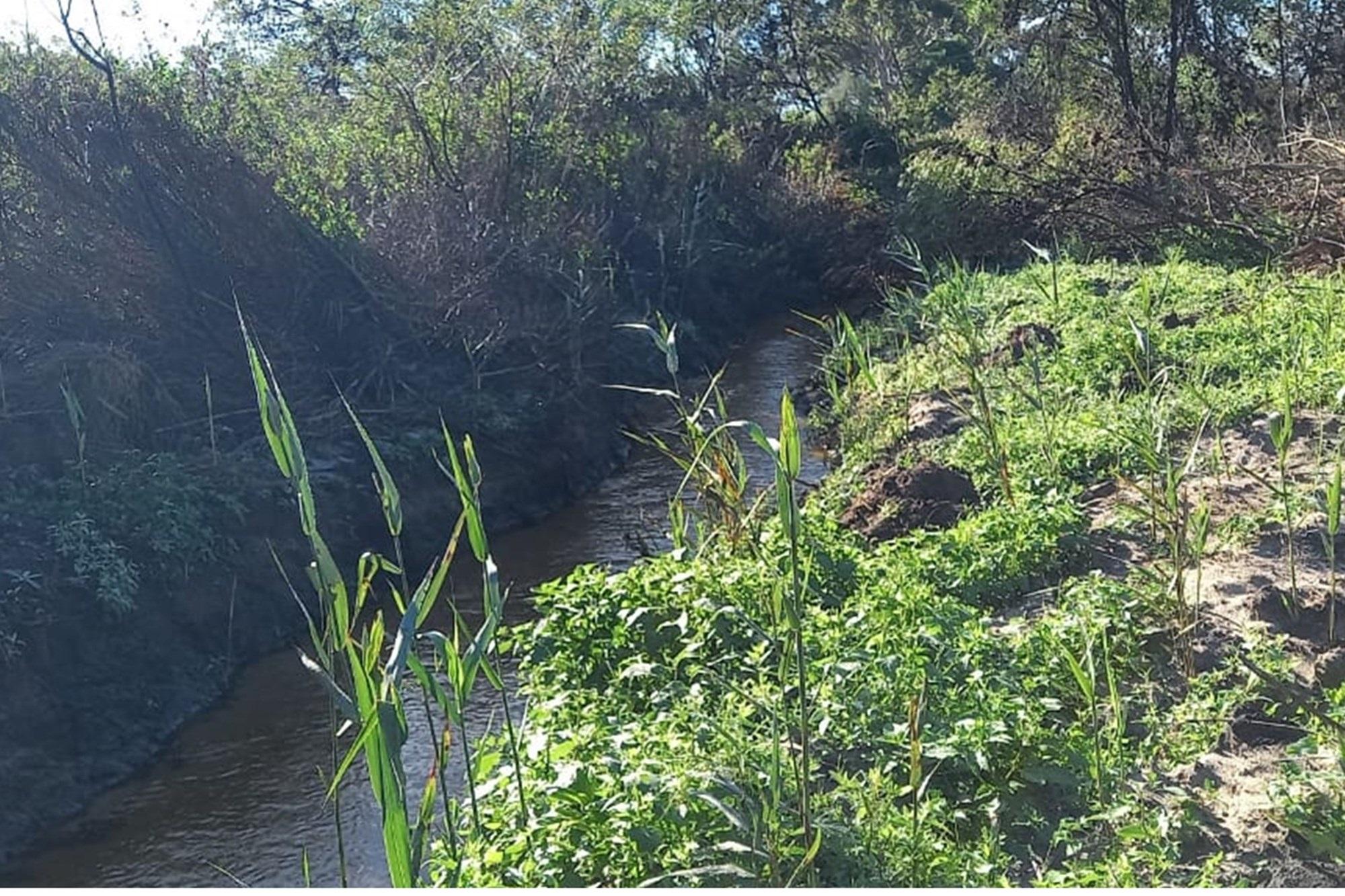 Image 11