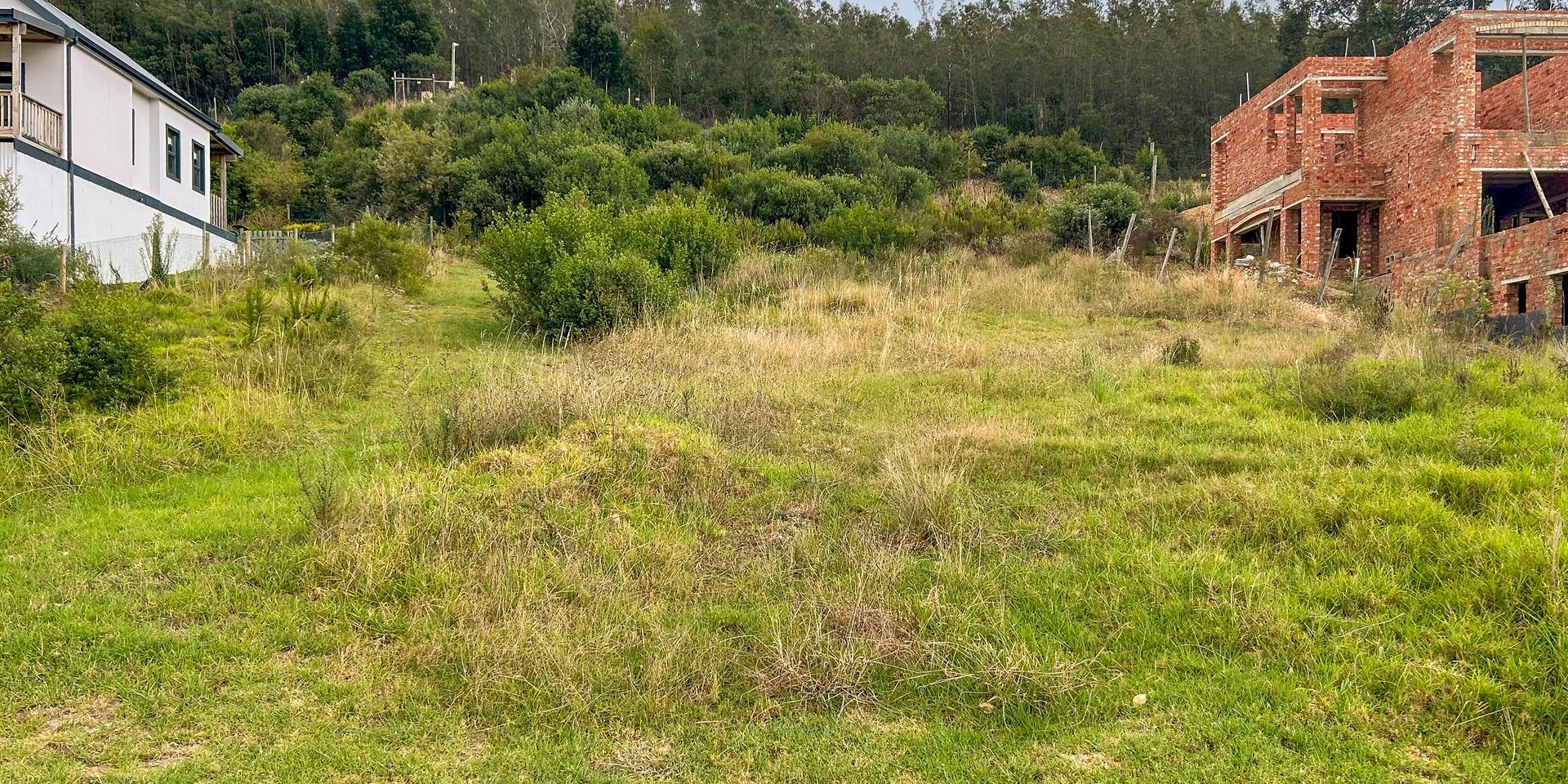 Image 4 of 6