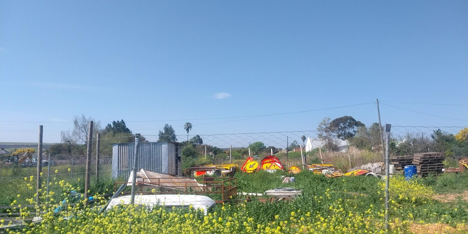 Image 5 of 6