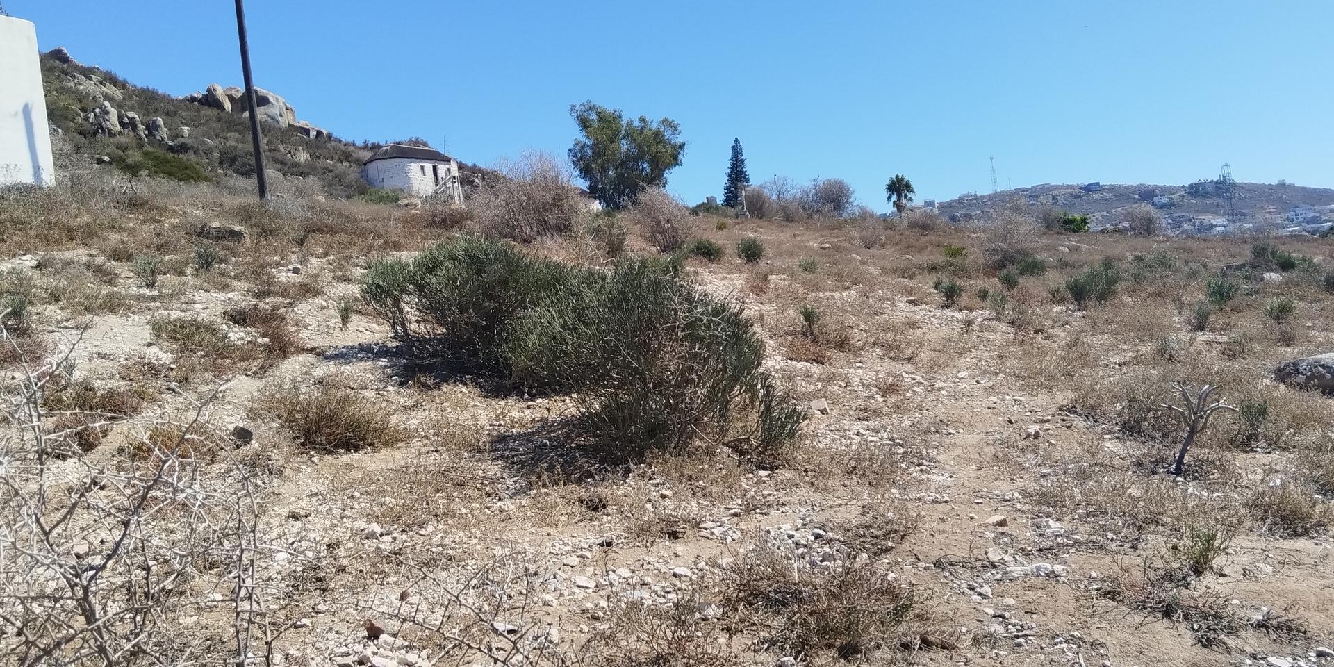 Image 5 of 6