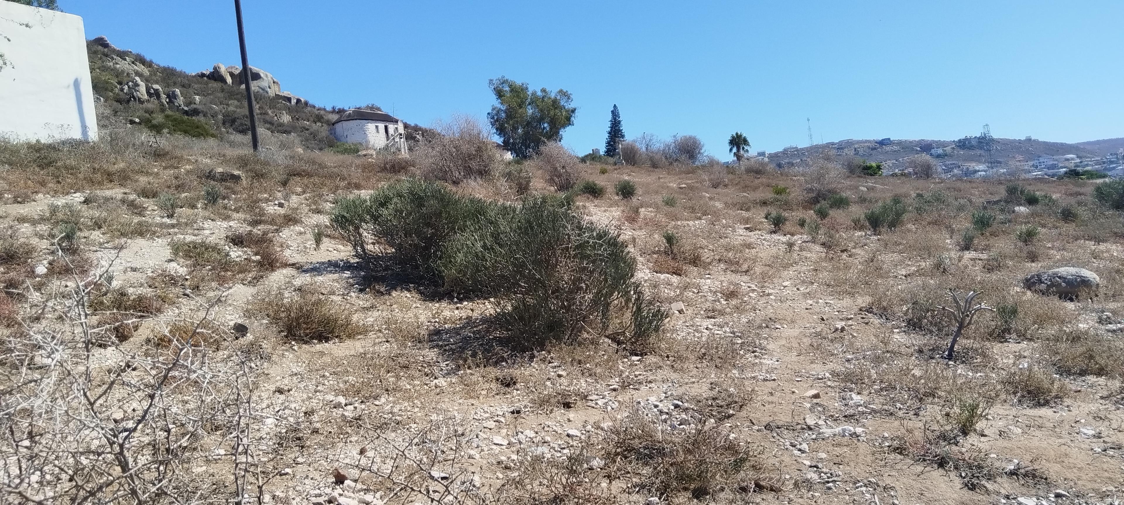 Image 5 of 6