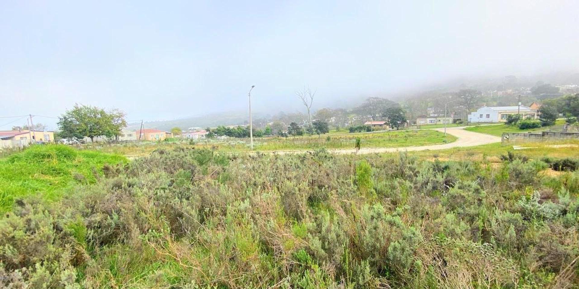 Image 2 of 6