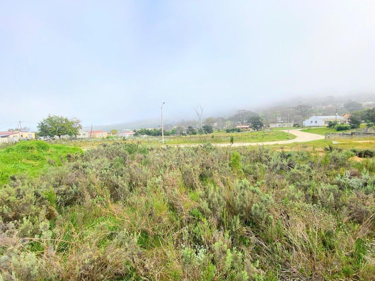 Image 2 of 6