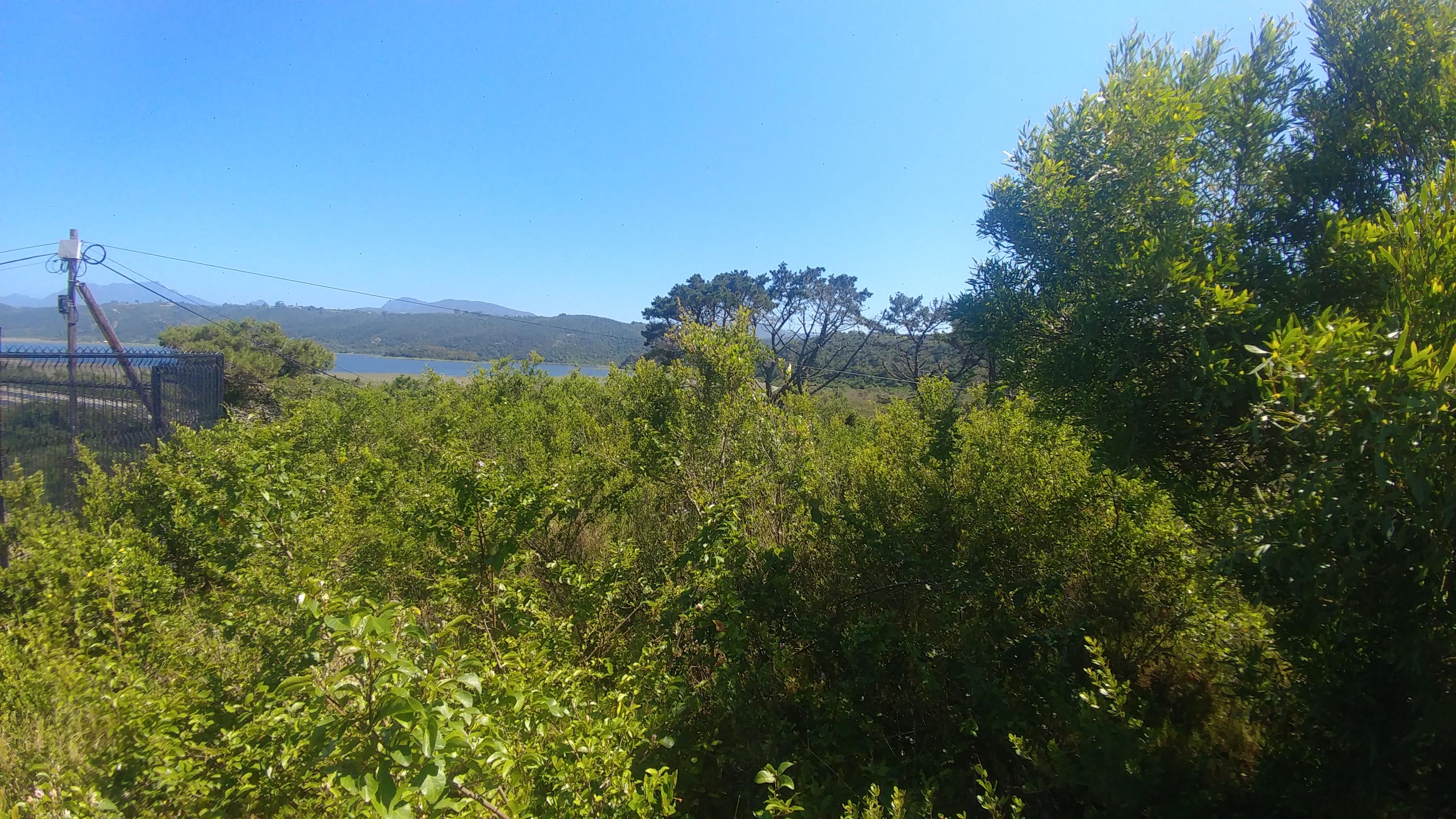 Image 4 of 6