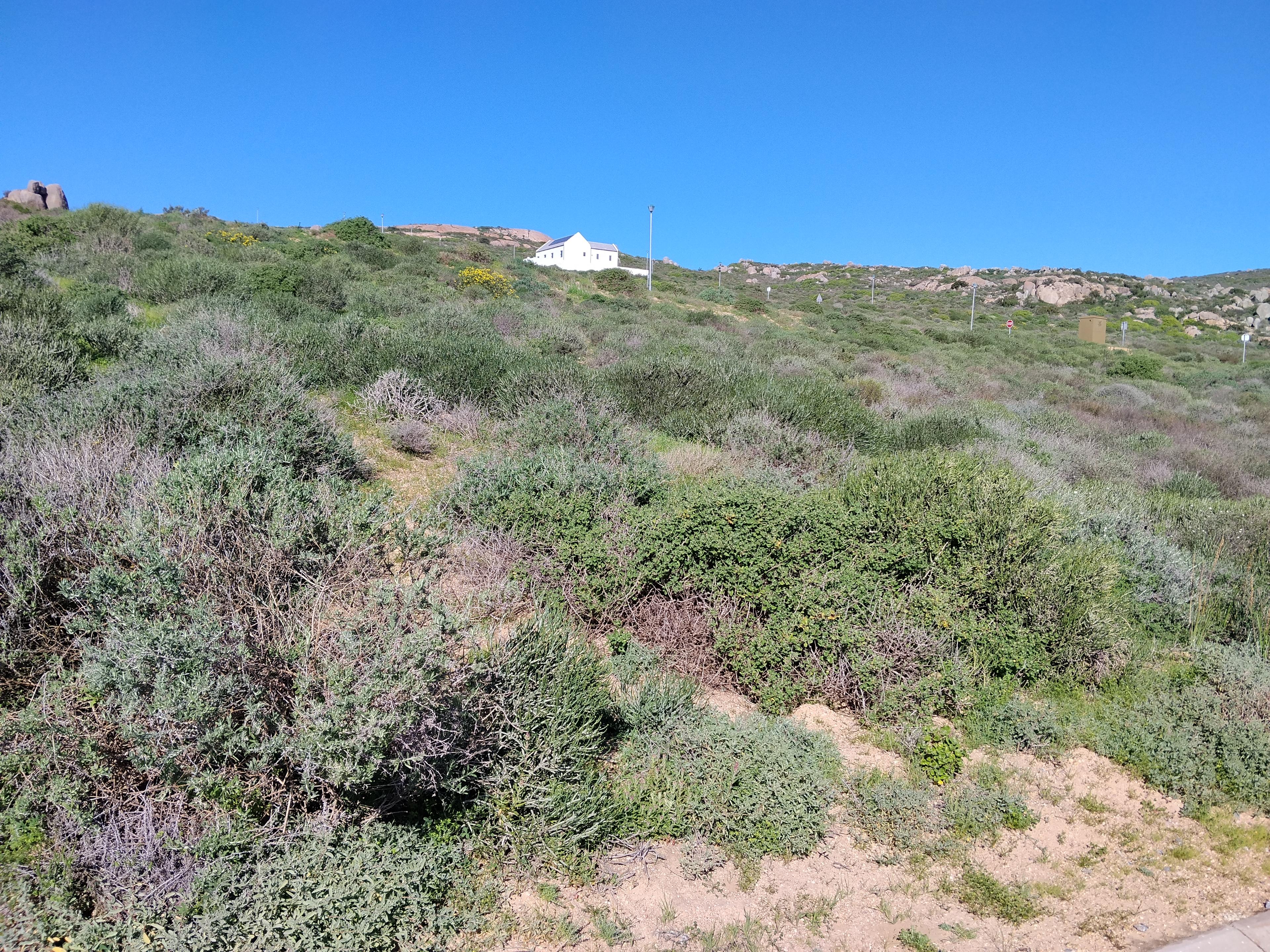 Image 4 of 6