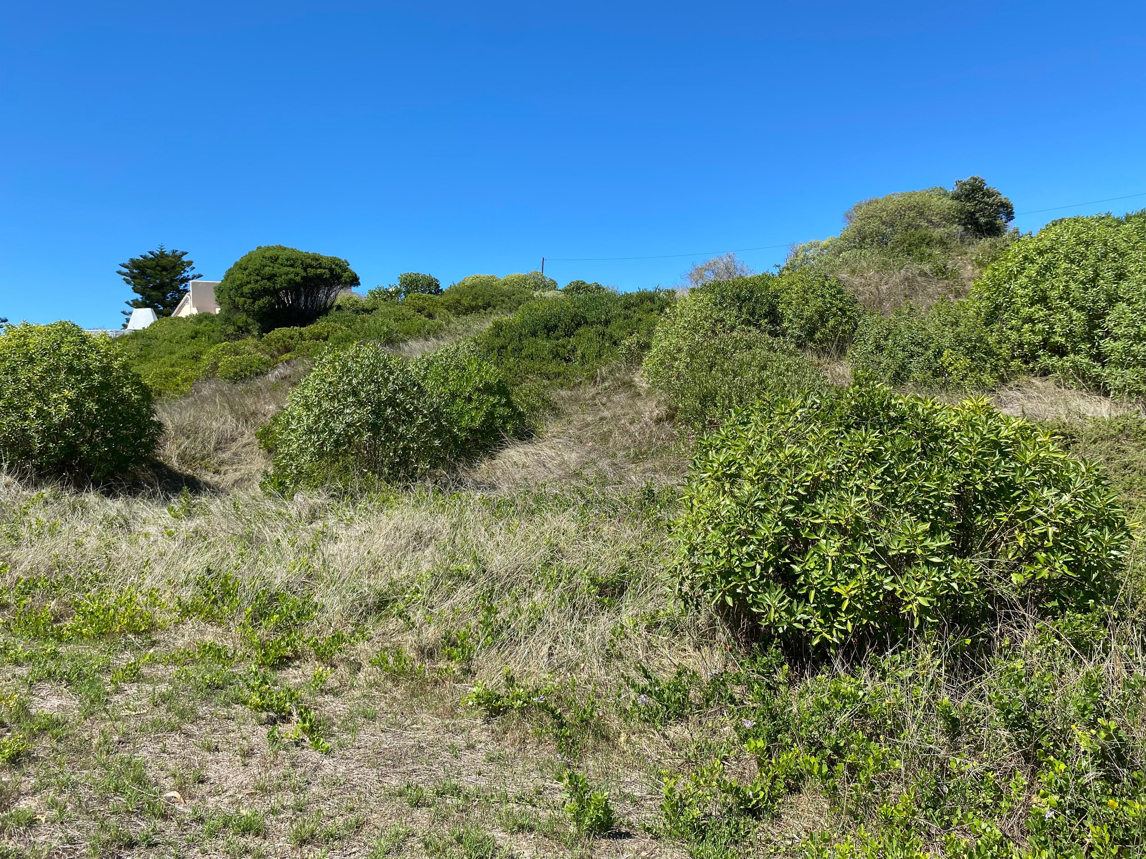 Image 4 of 6