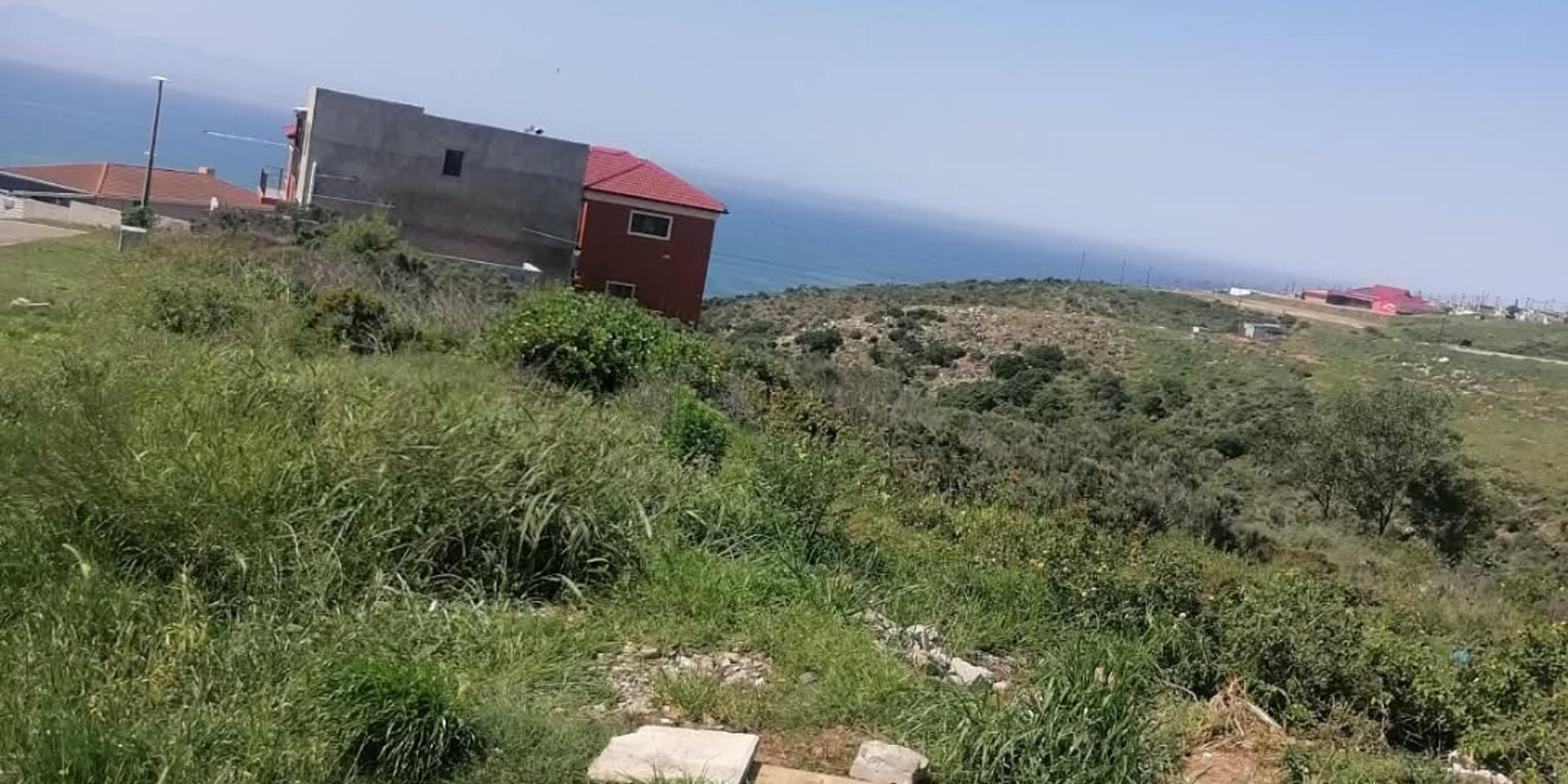 Image 5 of 6