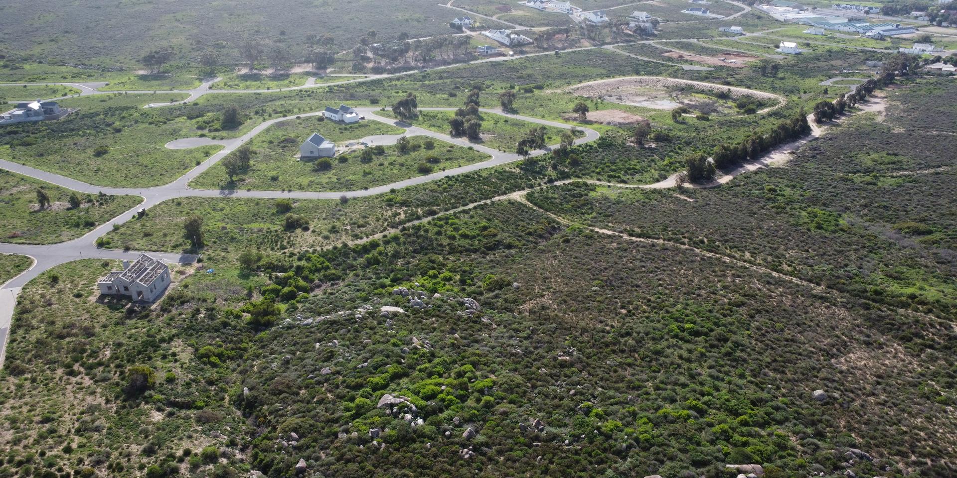 Image 4 of 6