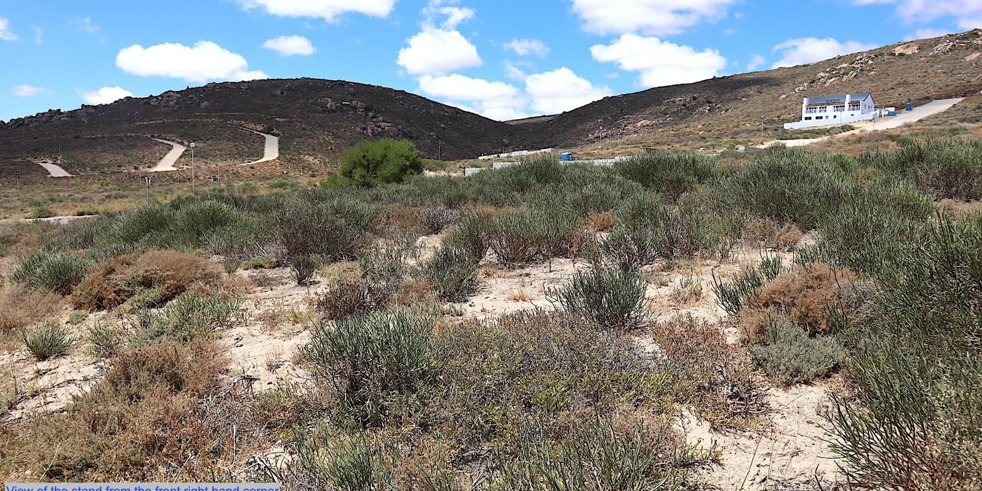 Image 4 of 6