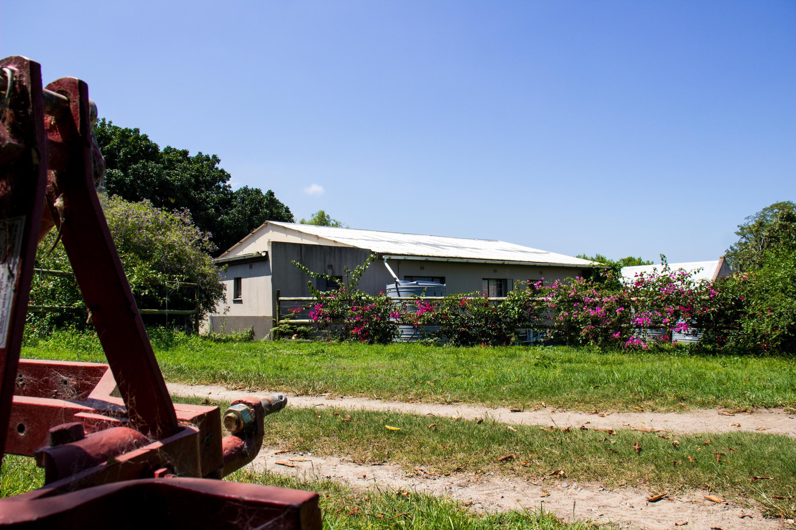 Image 20