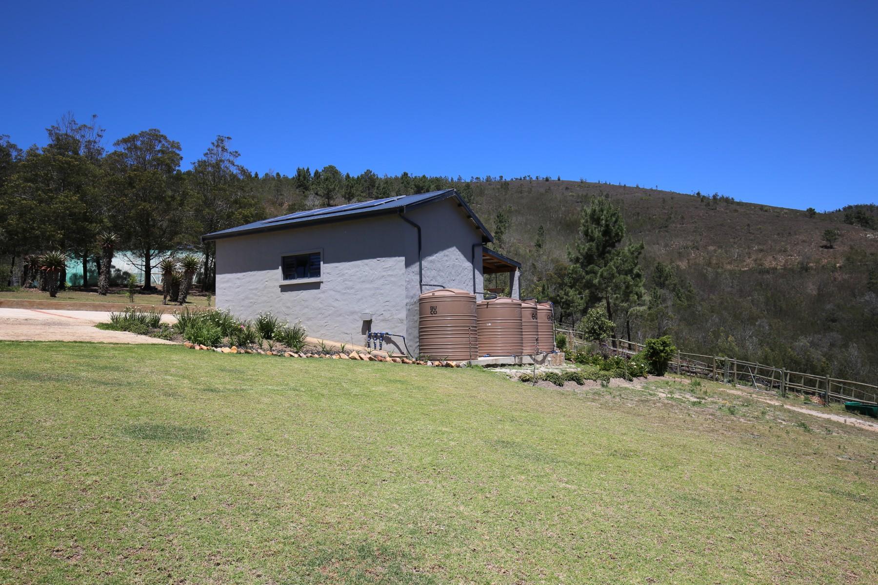 Image 39