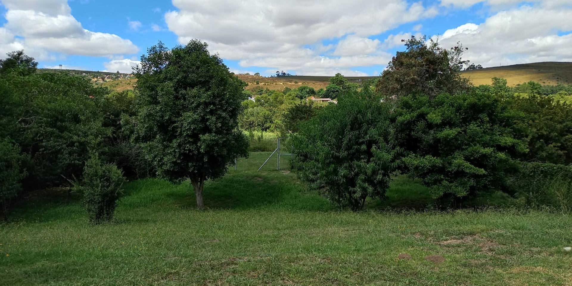 Image 2 of 6