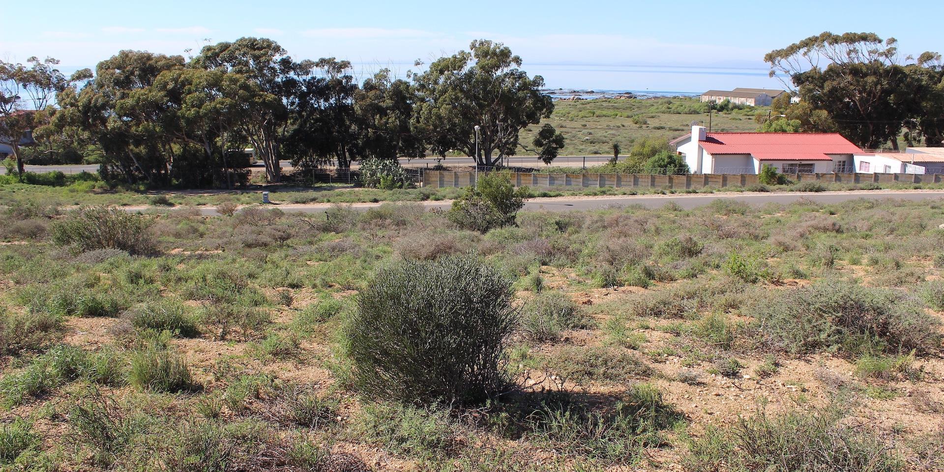Image 5 of 6