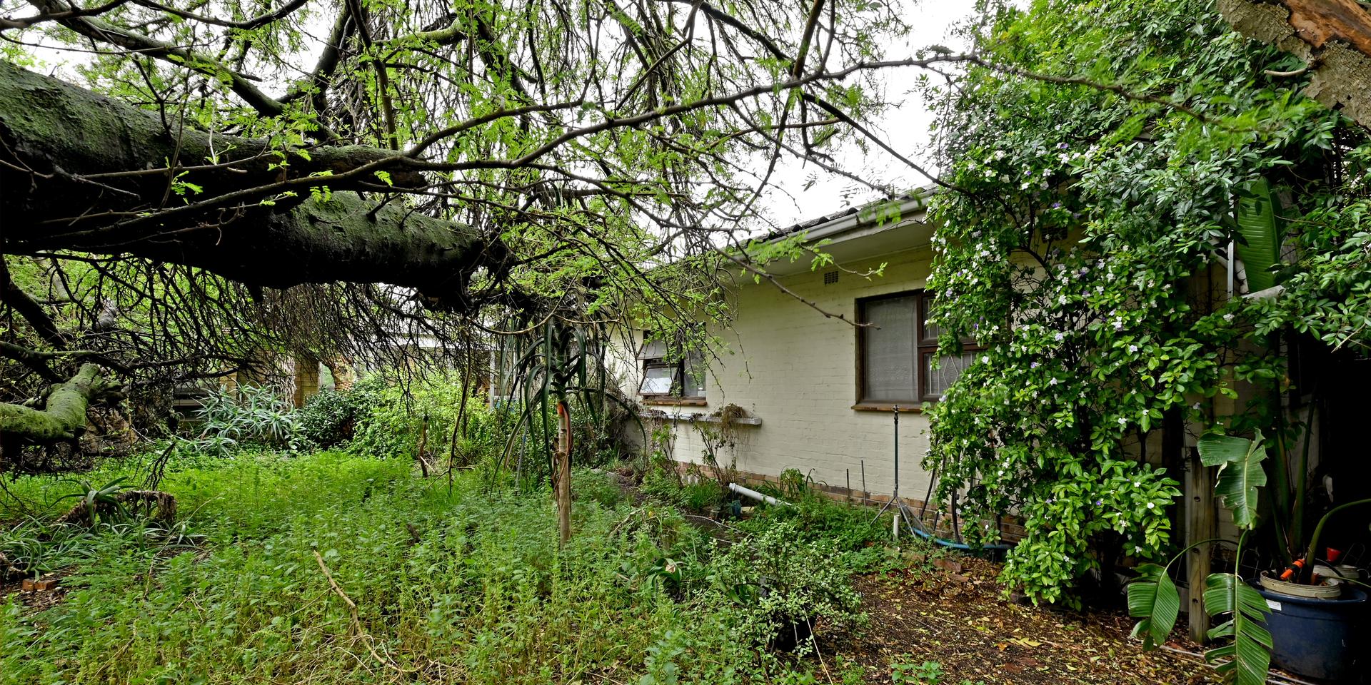 Image 4 of 6