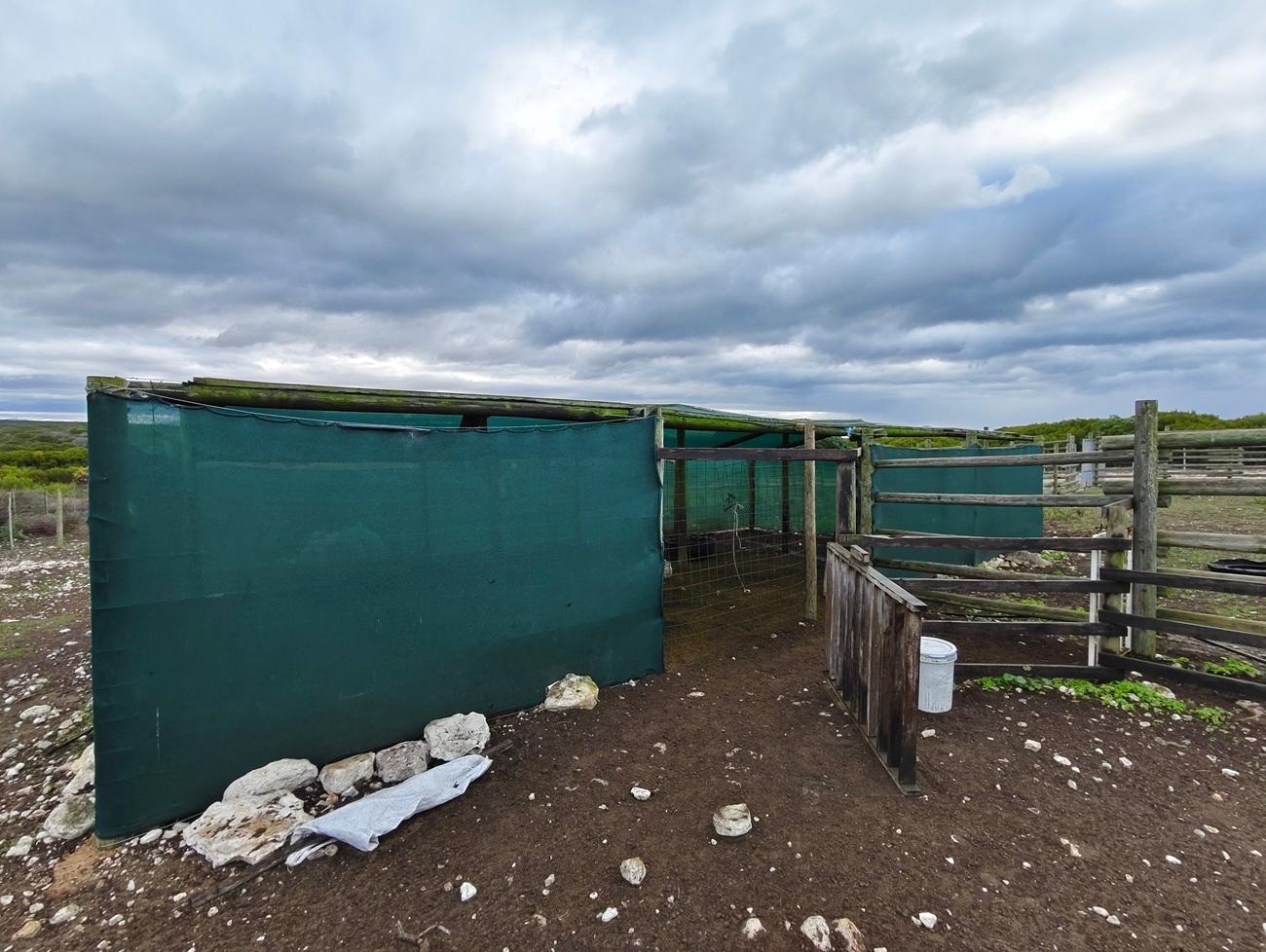 Image 27
