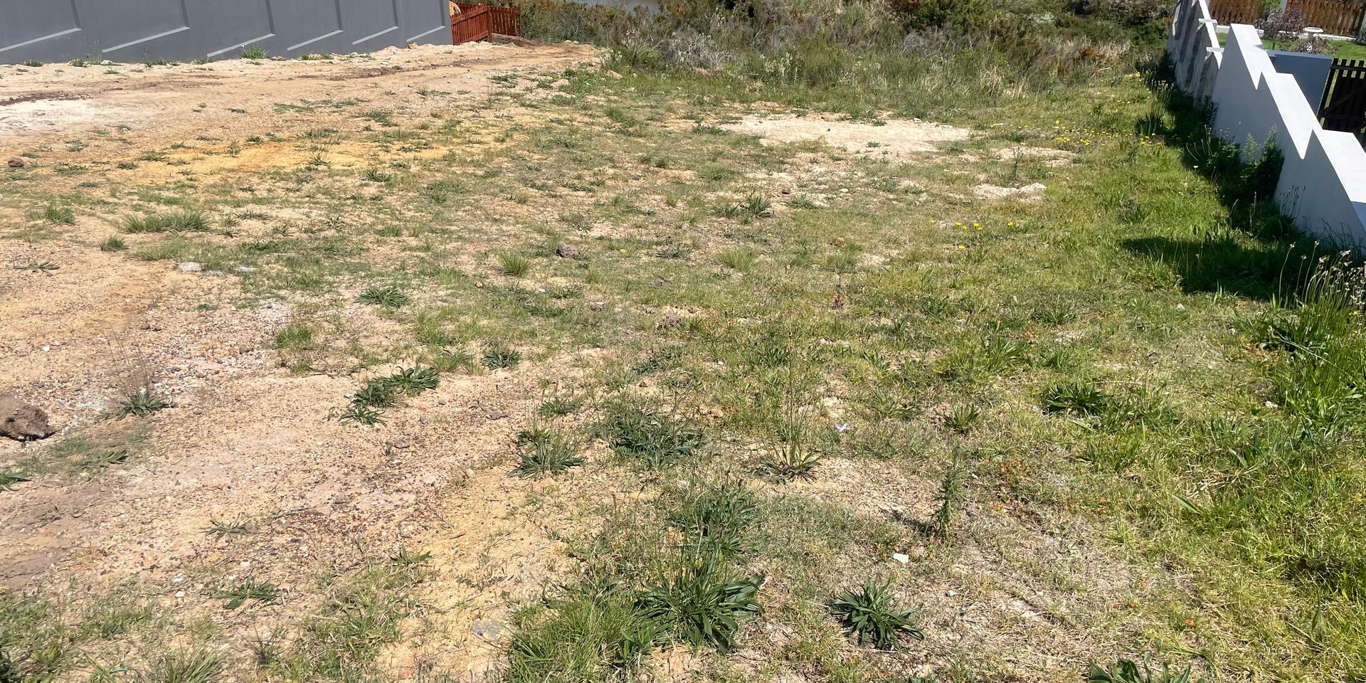 Image 3 of 6