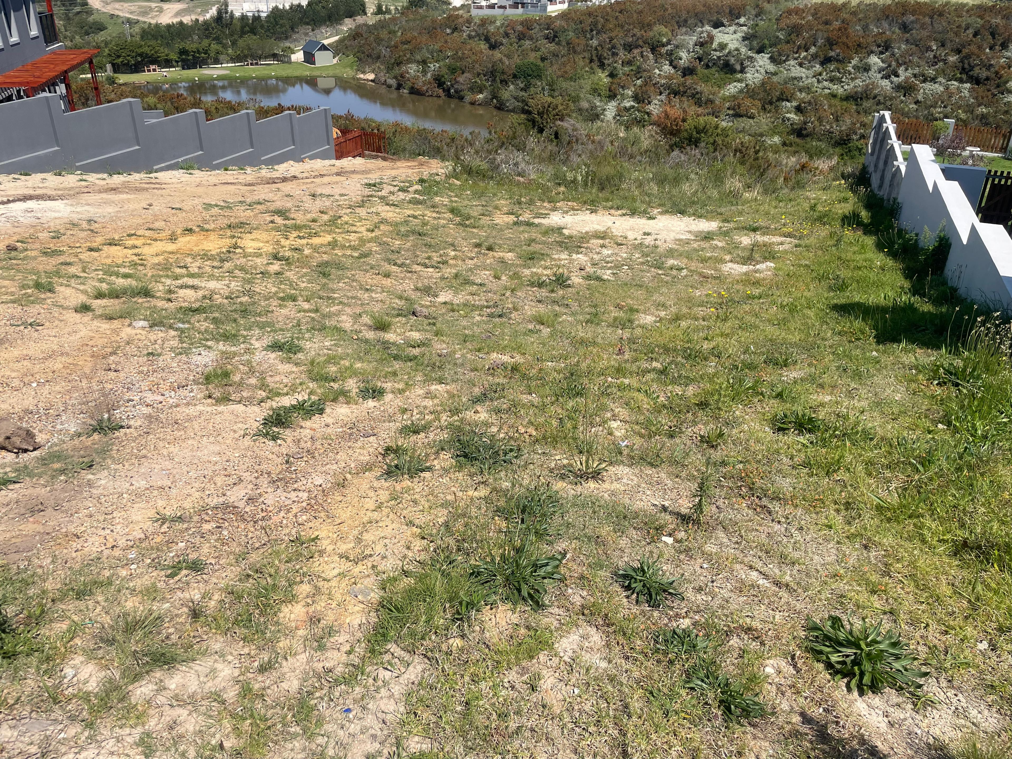 Image 3 of 6