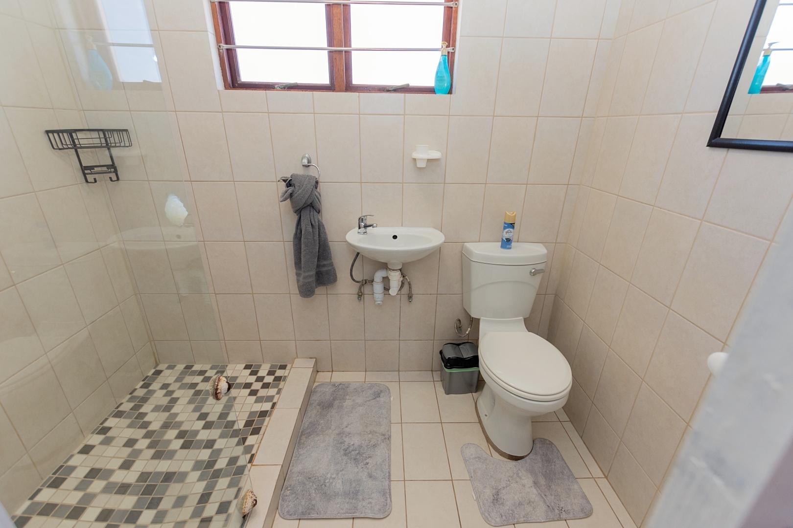 Image 15