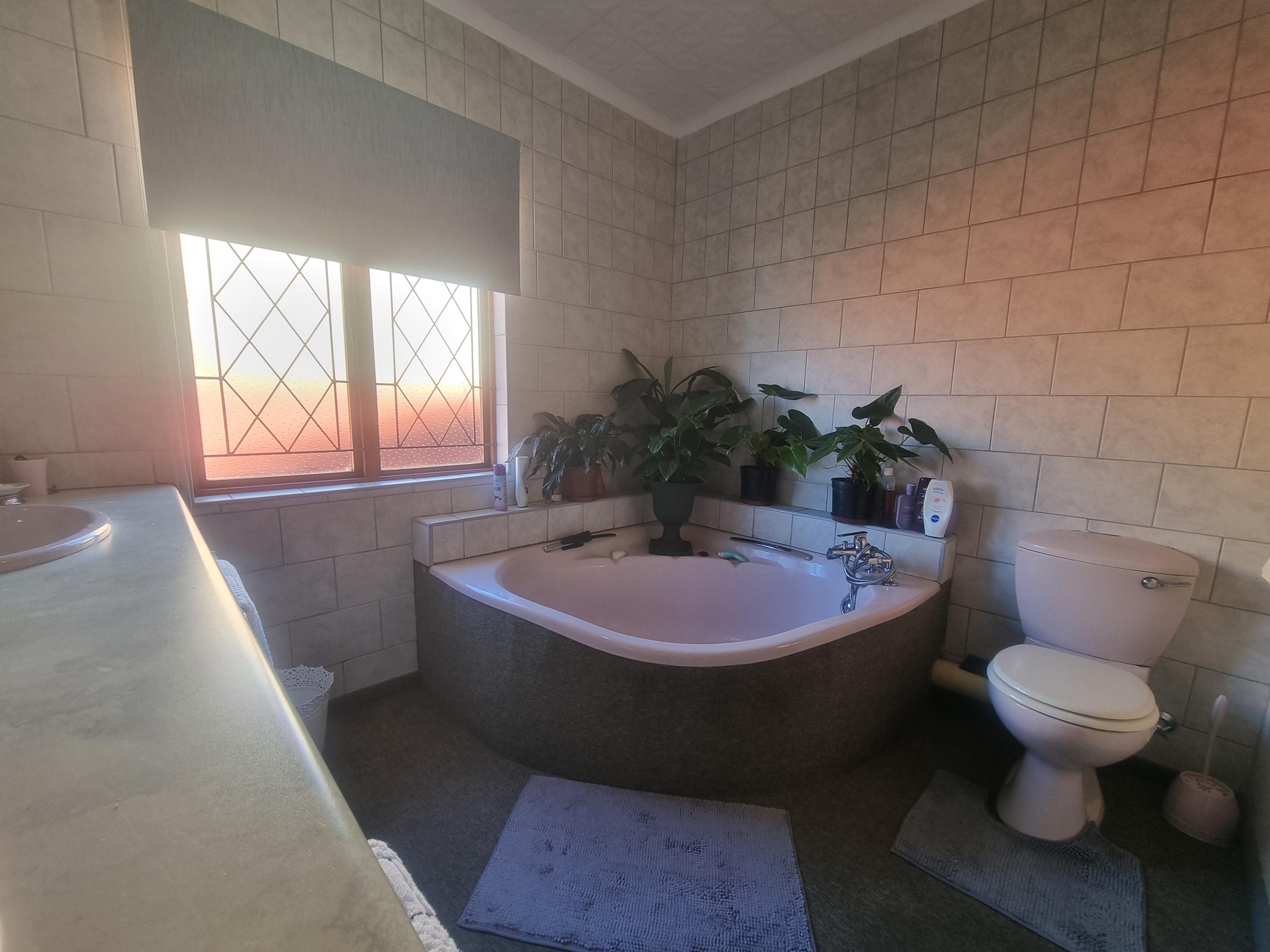 Image 19