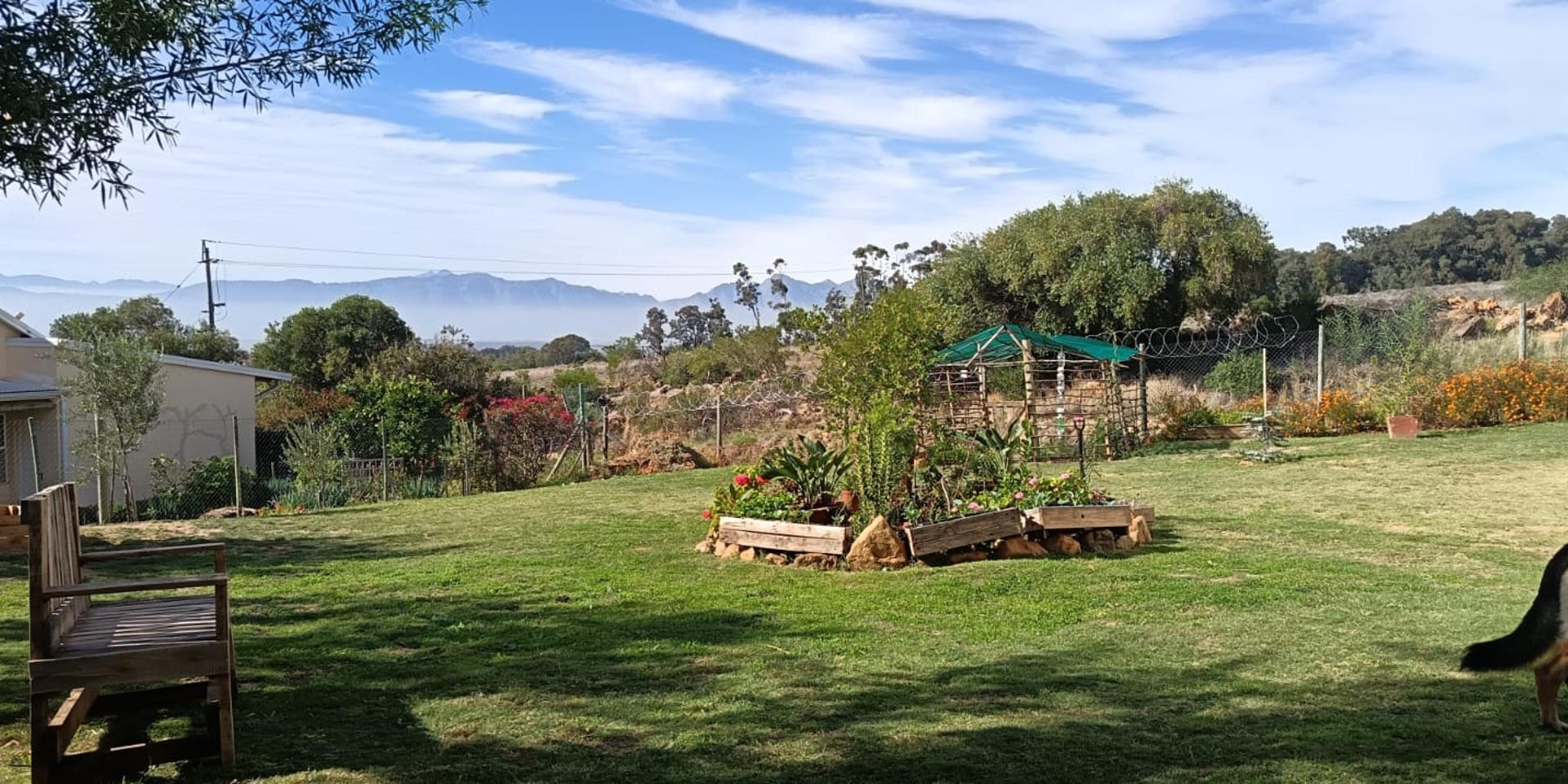 Image 4 of 6