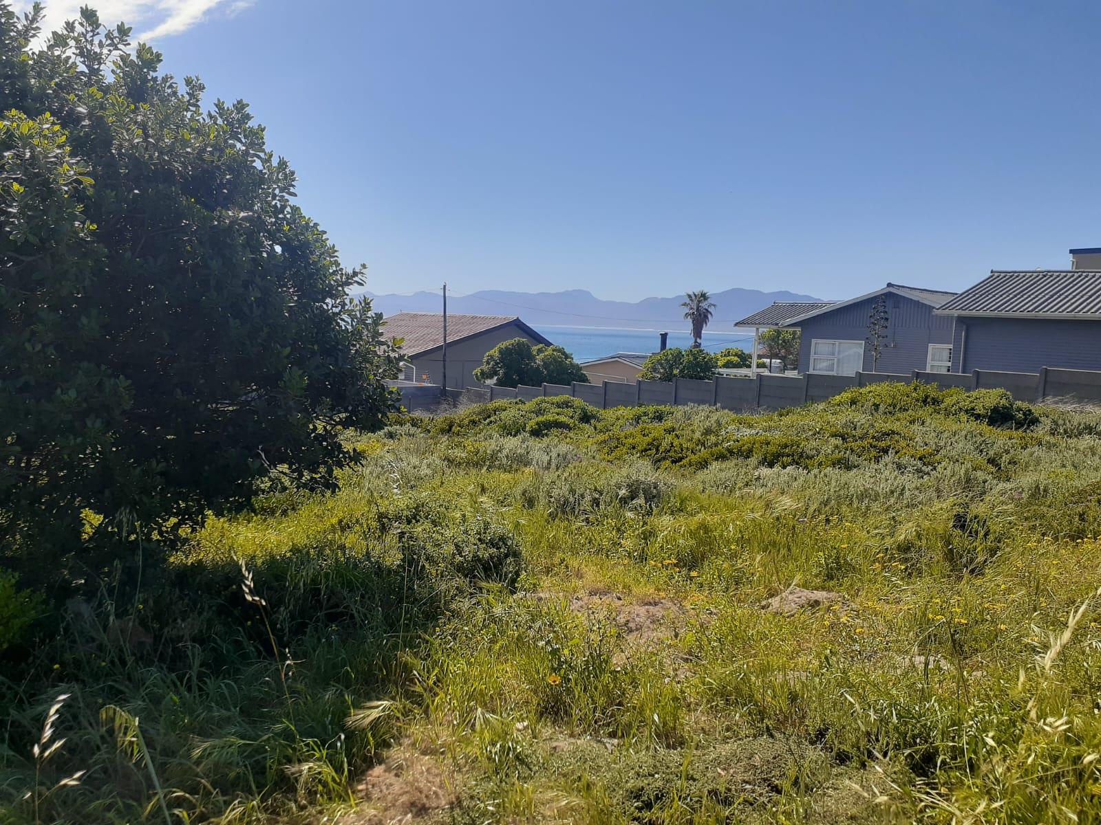 Image 4 of 6