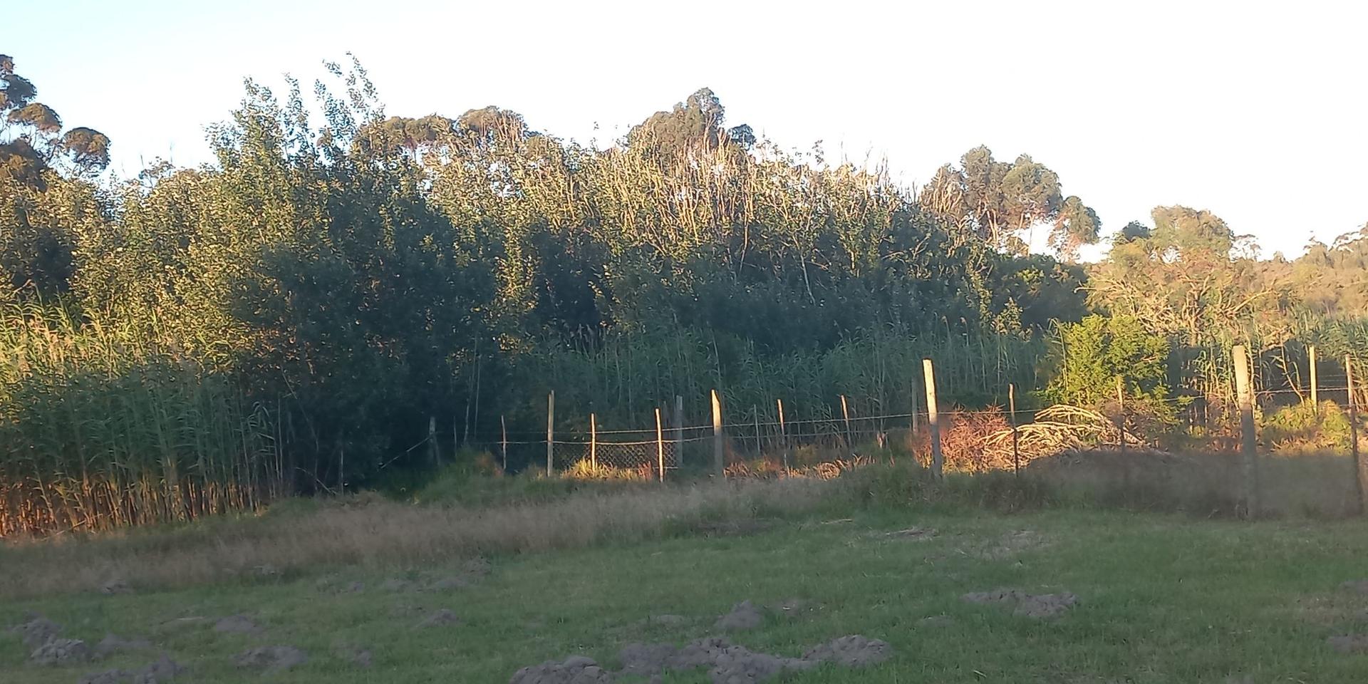Image 3 of 6