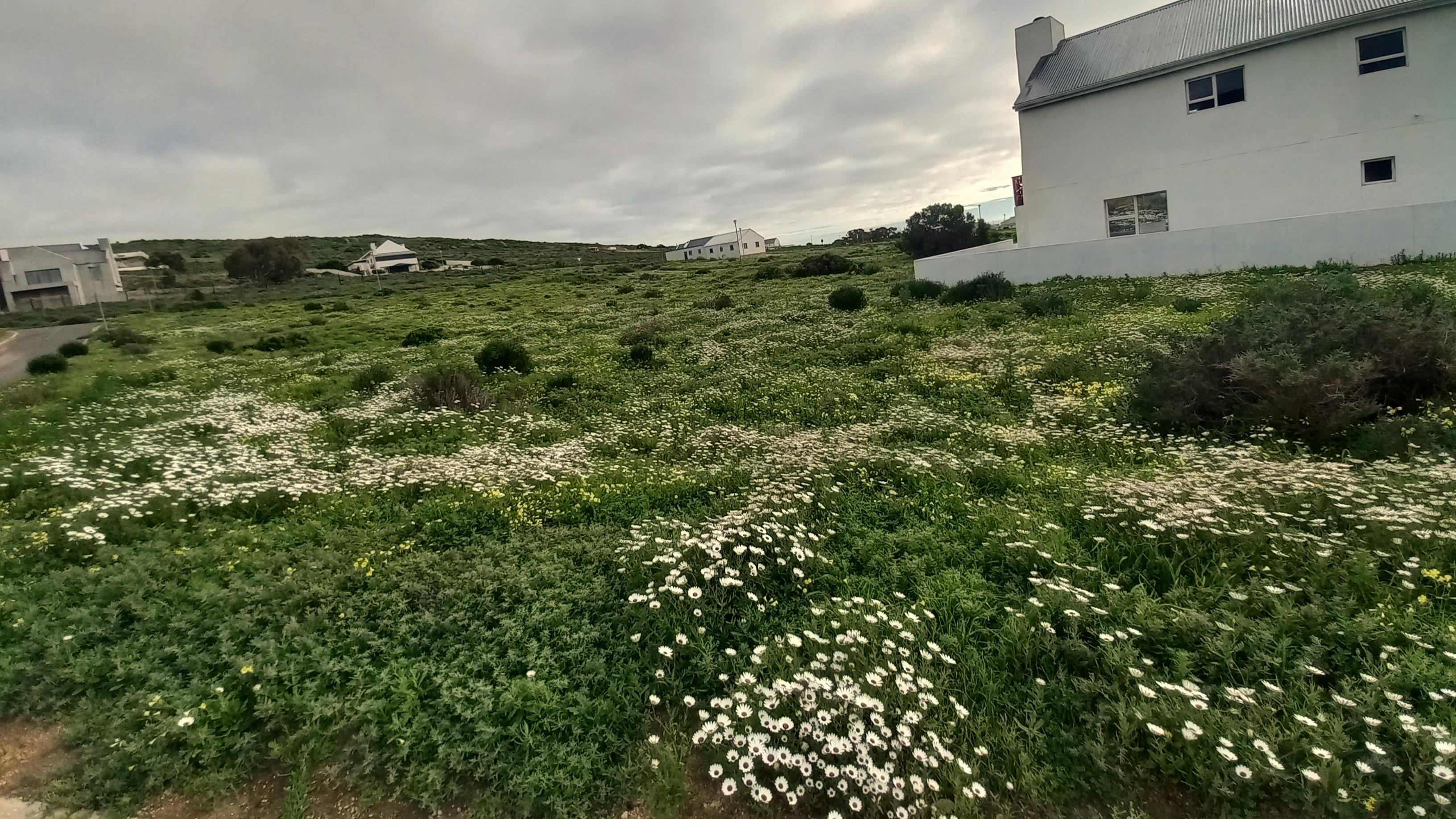 Image 4 of 6