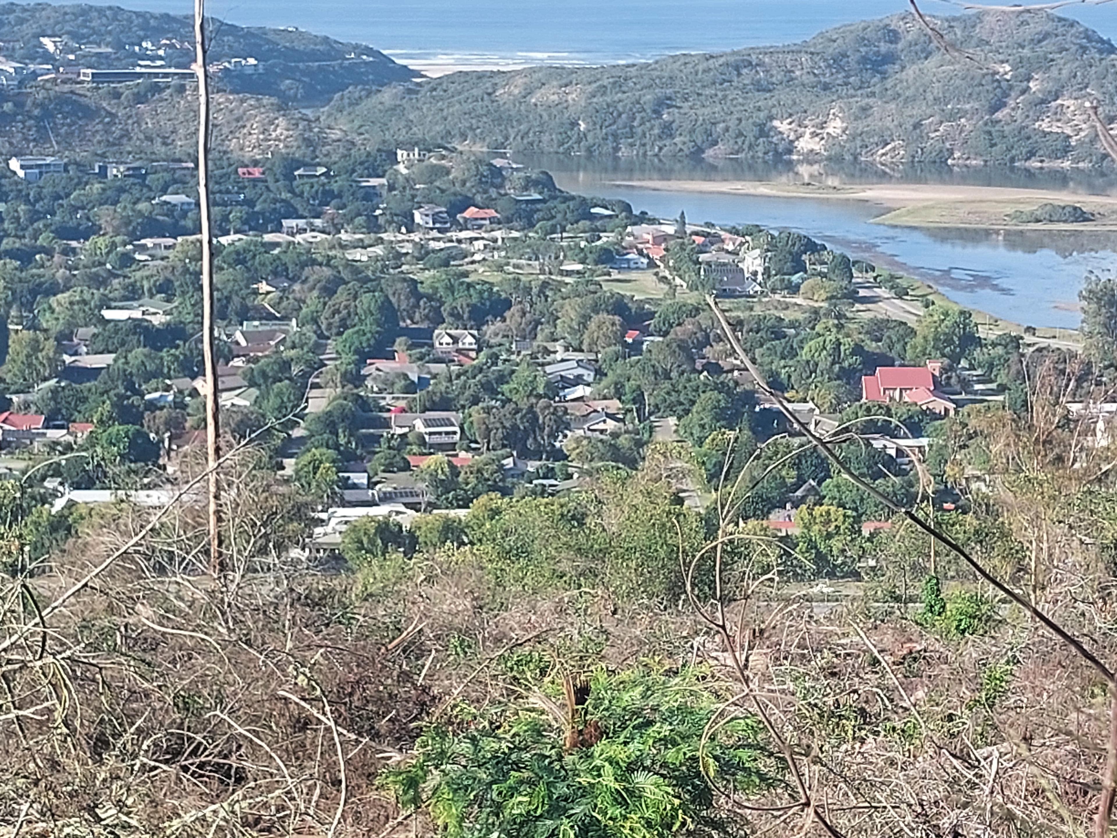 Image 3 of 6