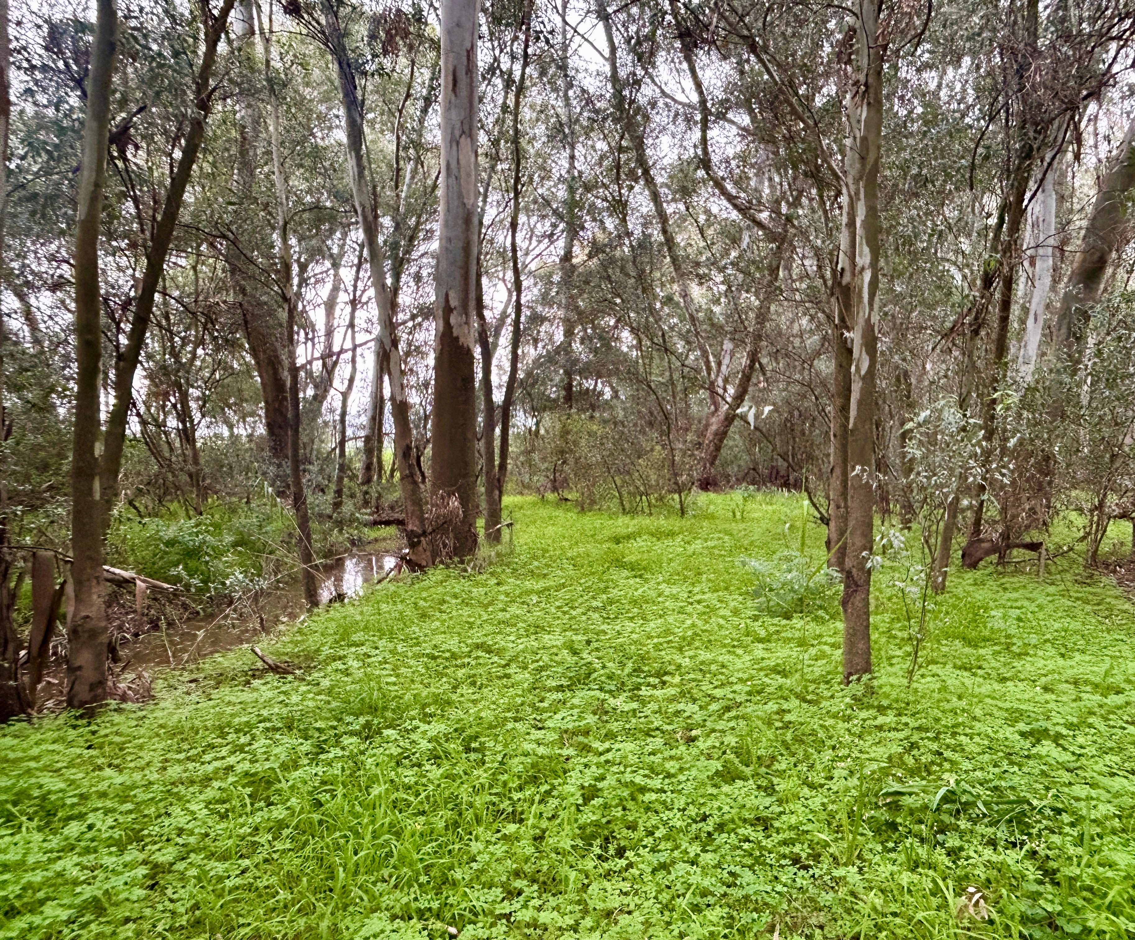 Image 8