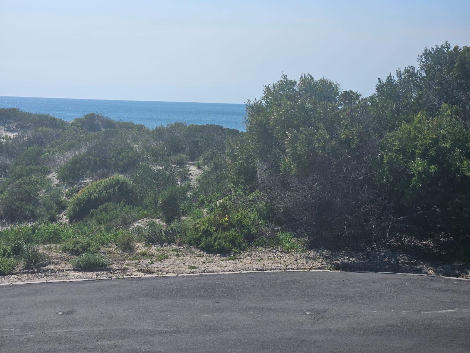 Image 4 of 6