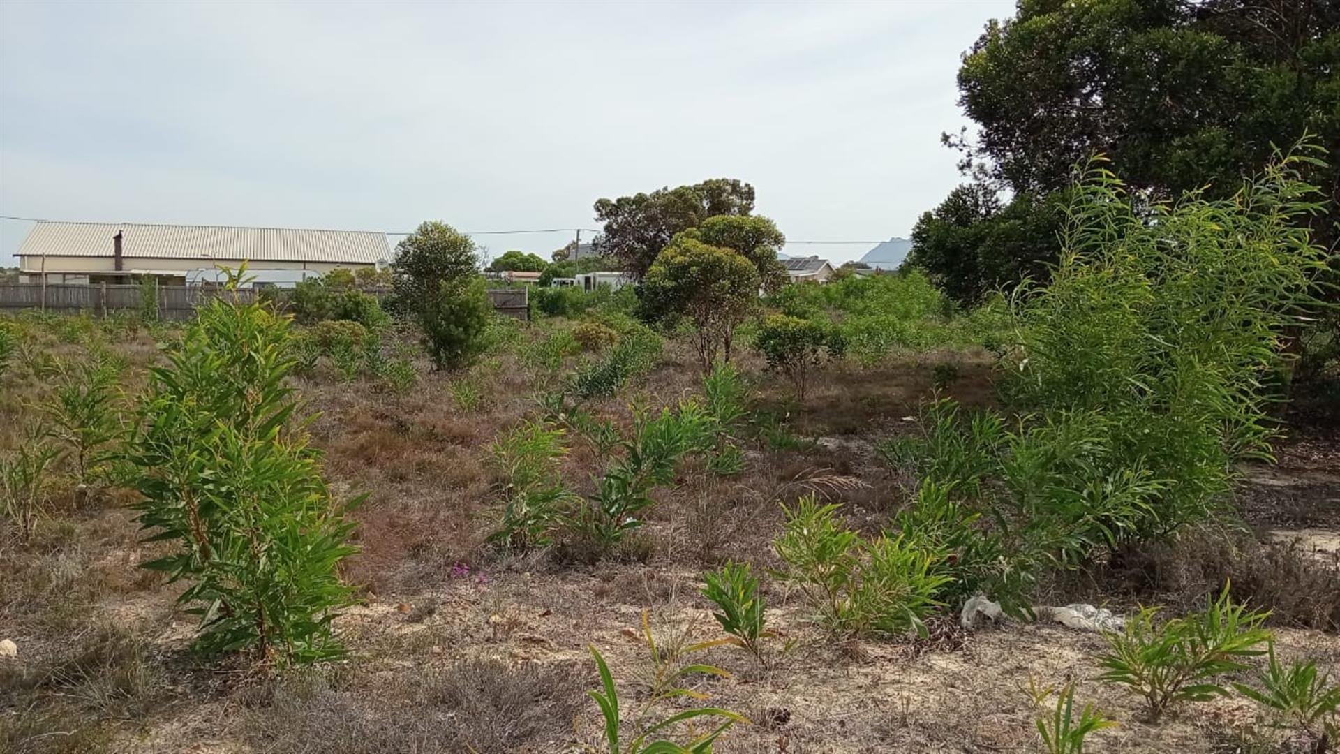 Image 12