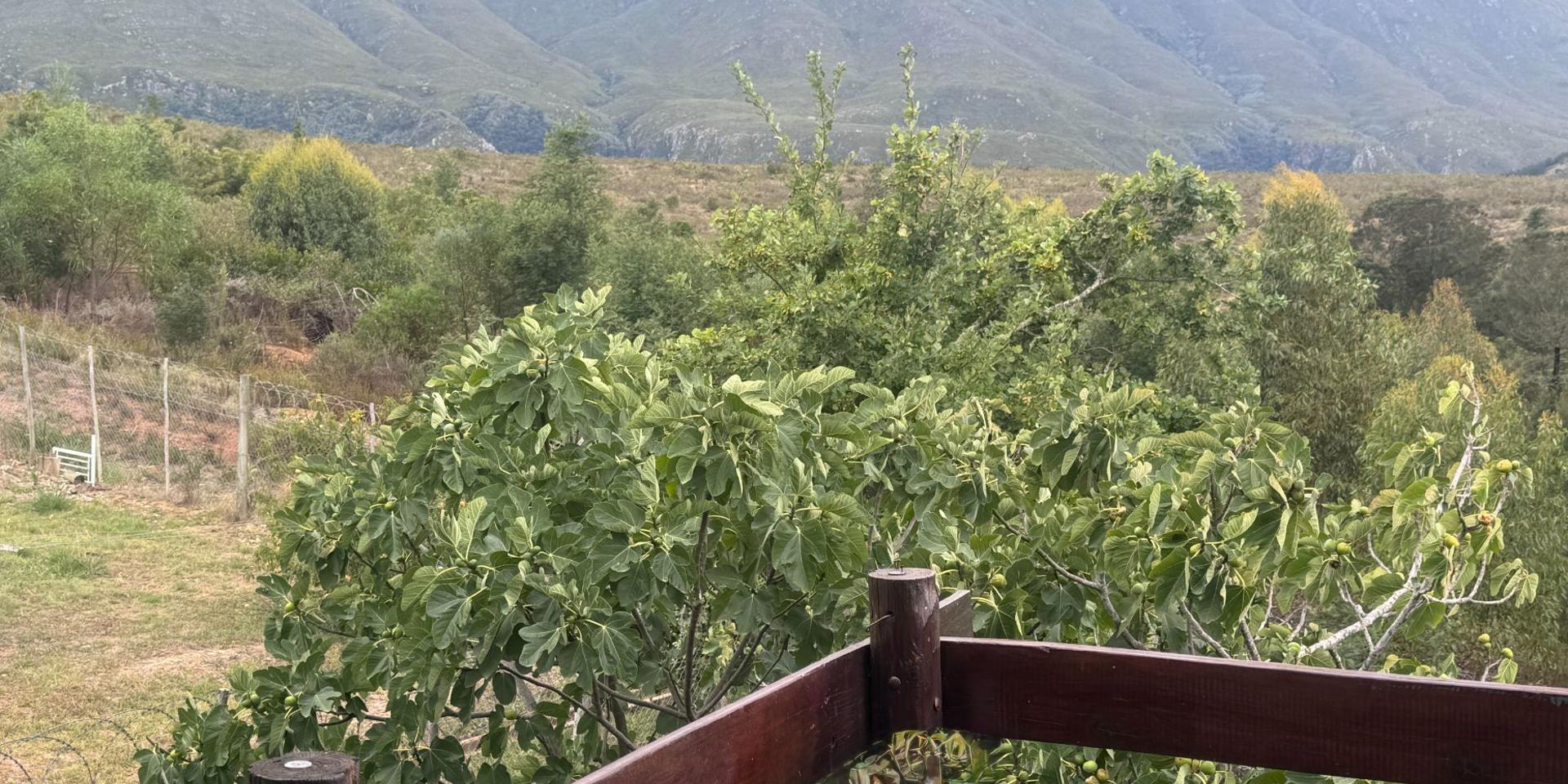 Image 2 of 6