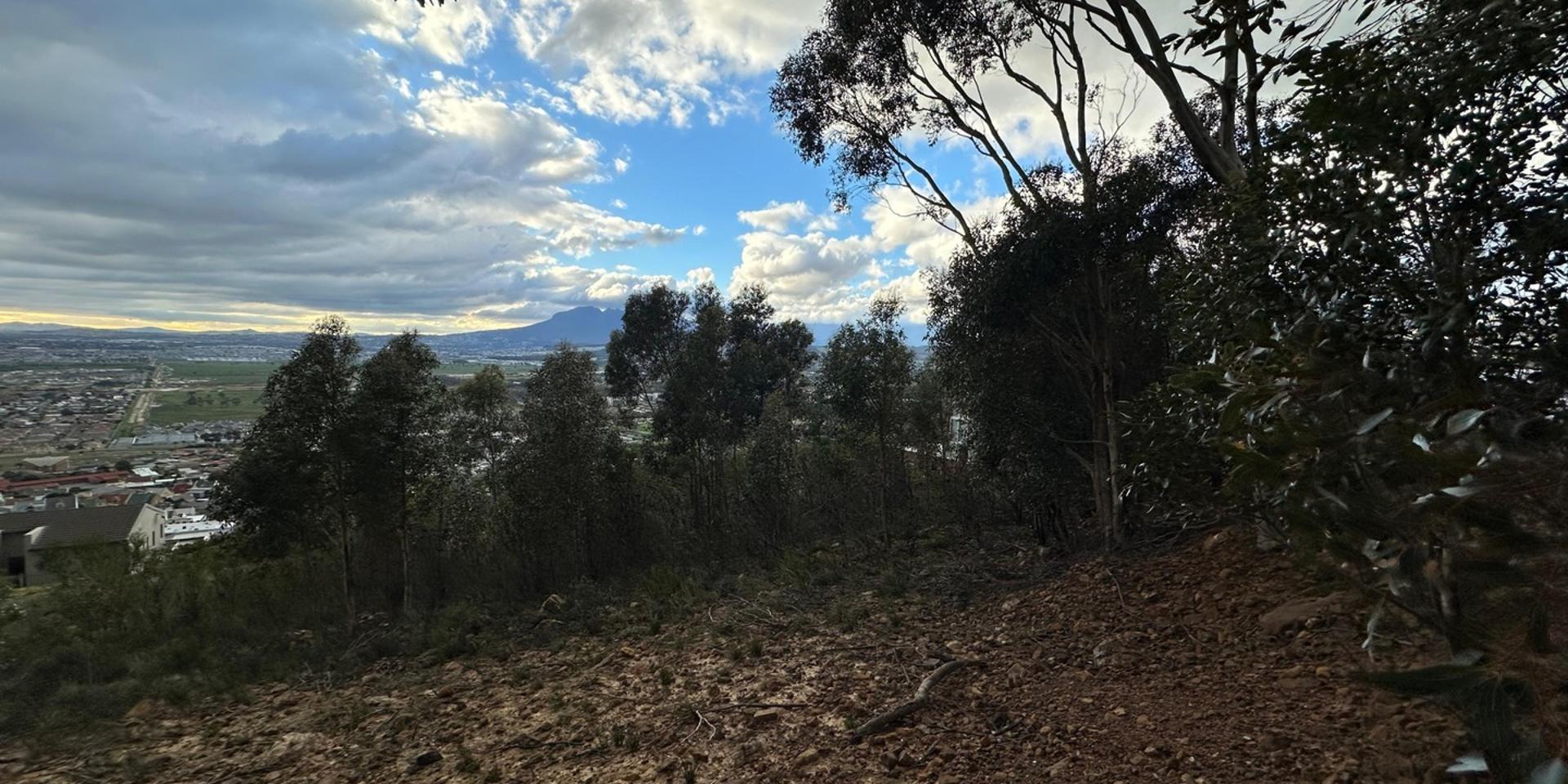 Image 5 of 6