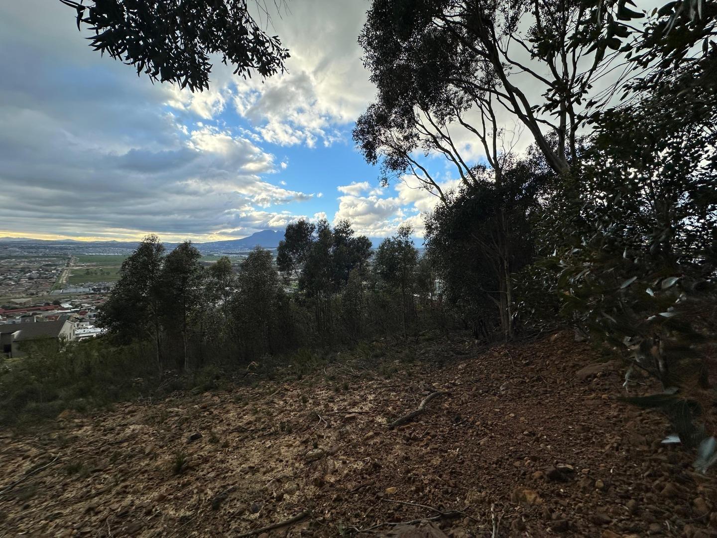 Image 5 of 6