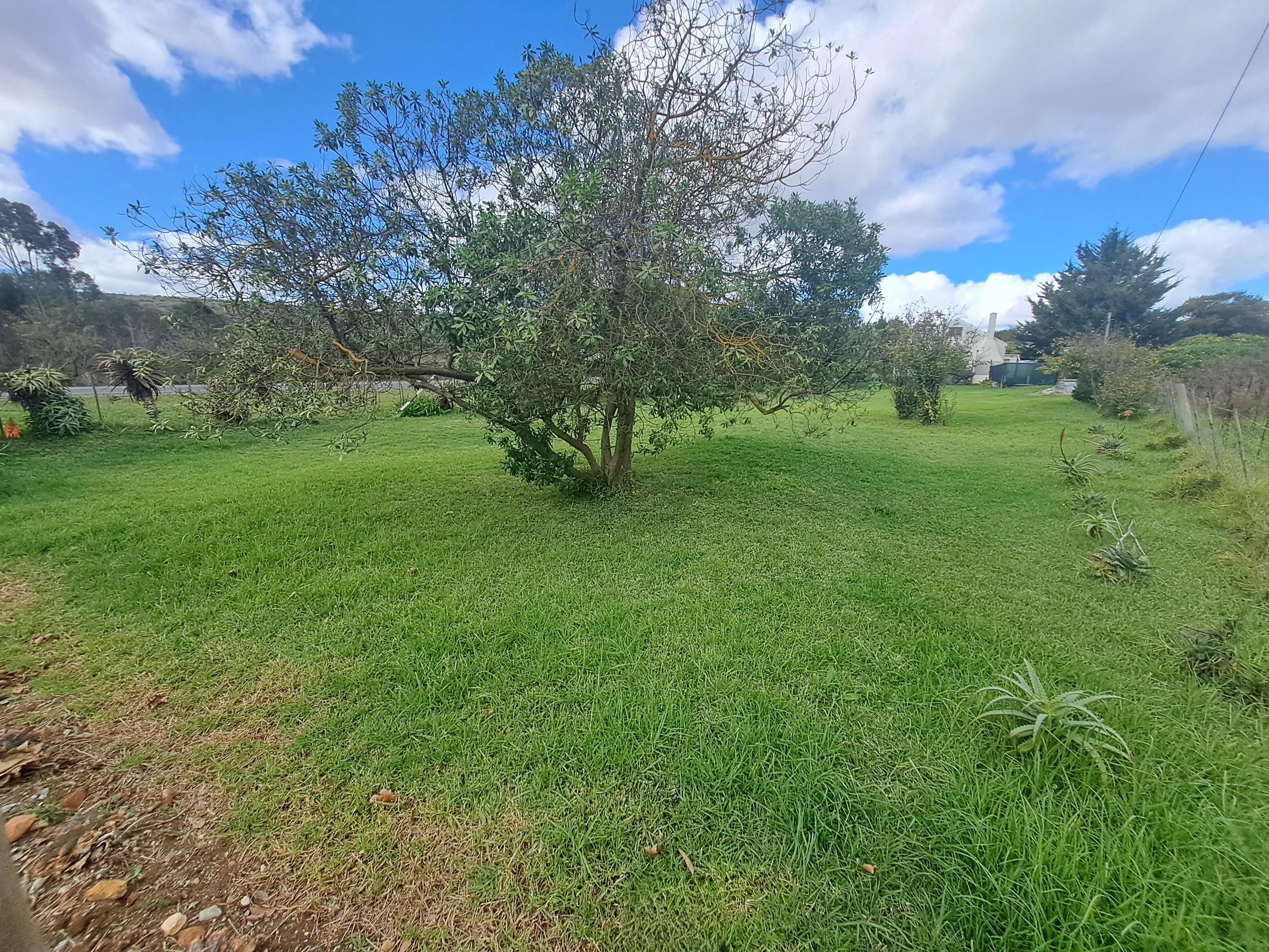 Image 2 of 6