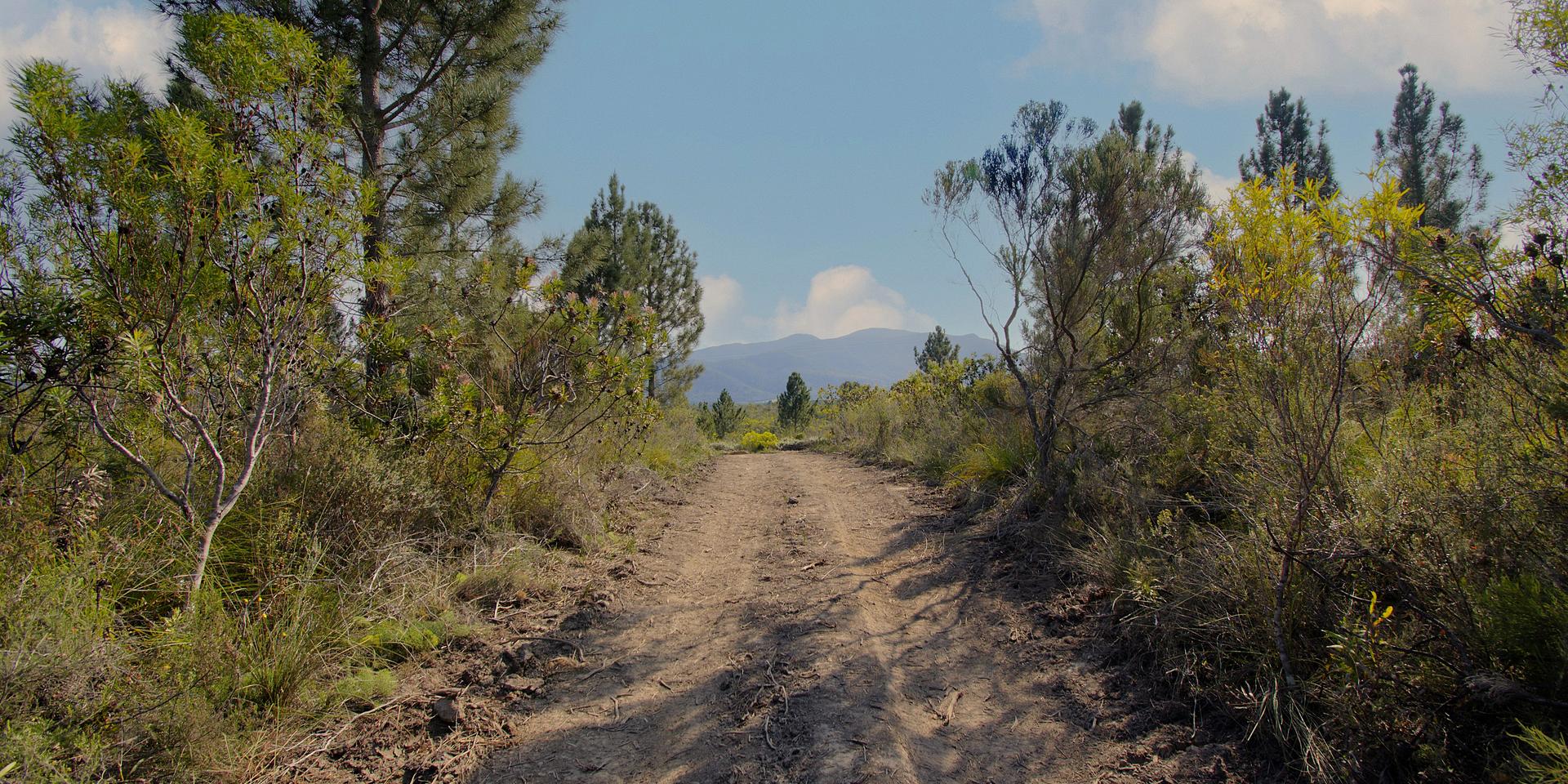 Image 4 of 6